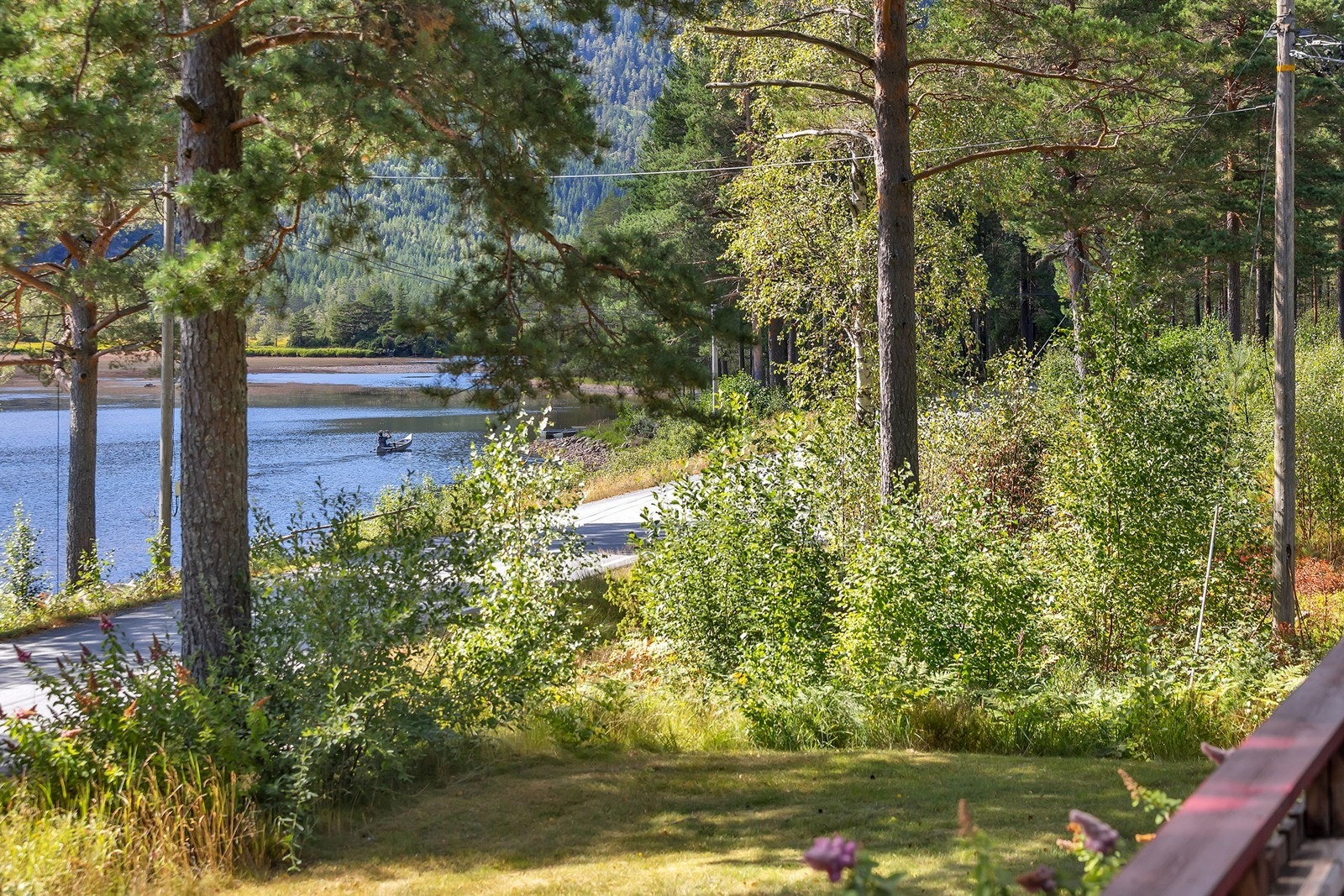I nærområdet er det flere fine bade- og fiskemuligheter Galleribilde