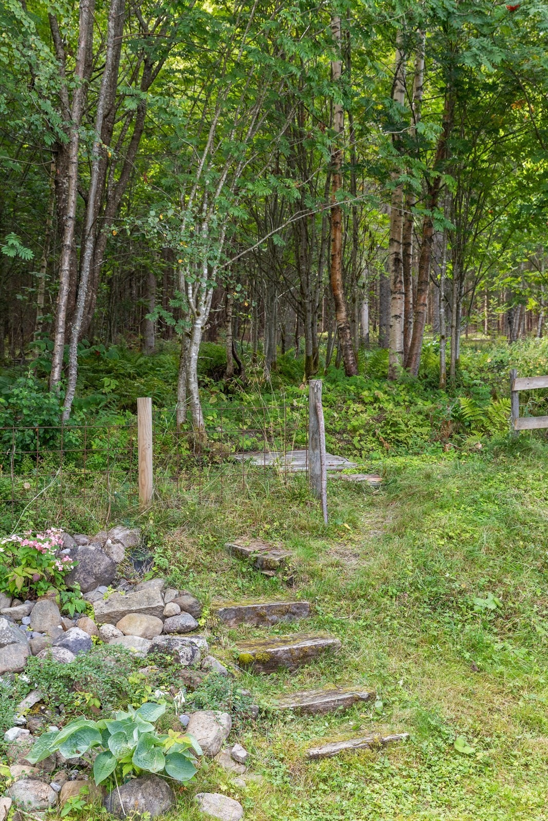 Fra hagen er det direkte tilgang til skog og mark. Lysløypa ligger ca. 100 meter bak huset. Galleribilde
