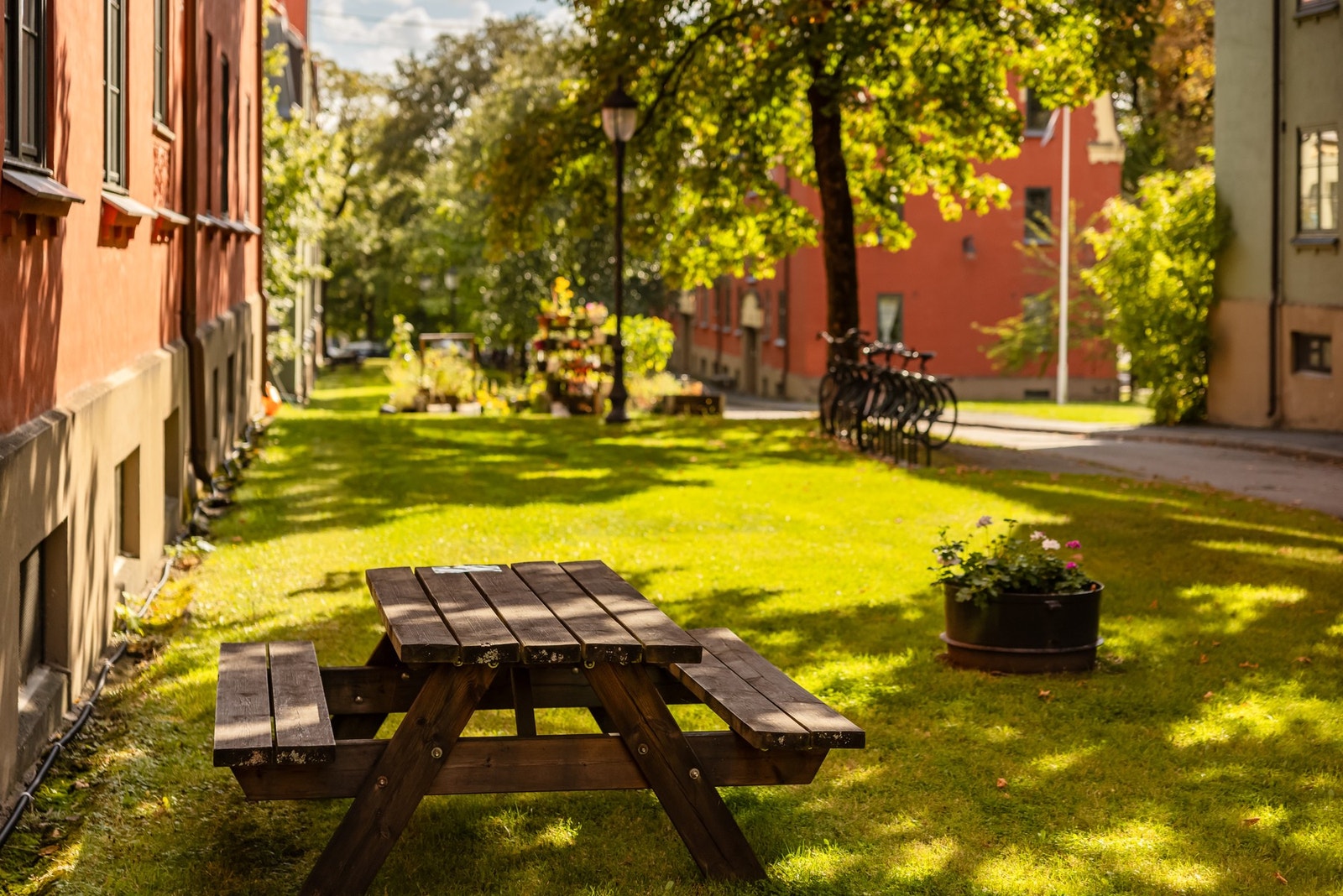Forhage. Galleribilde
