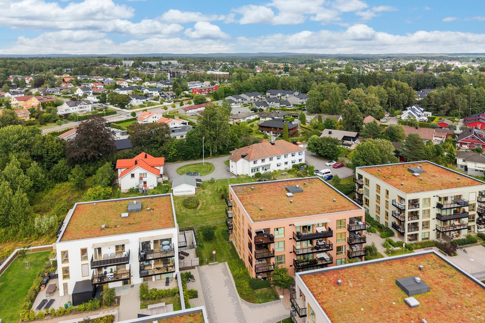 Nærområdet. Galleribilde