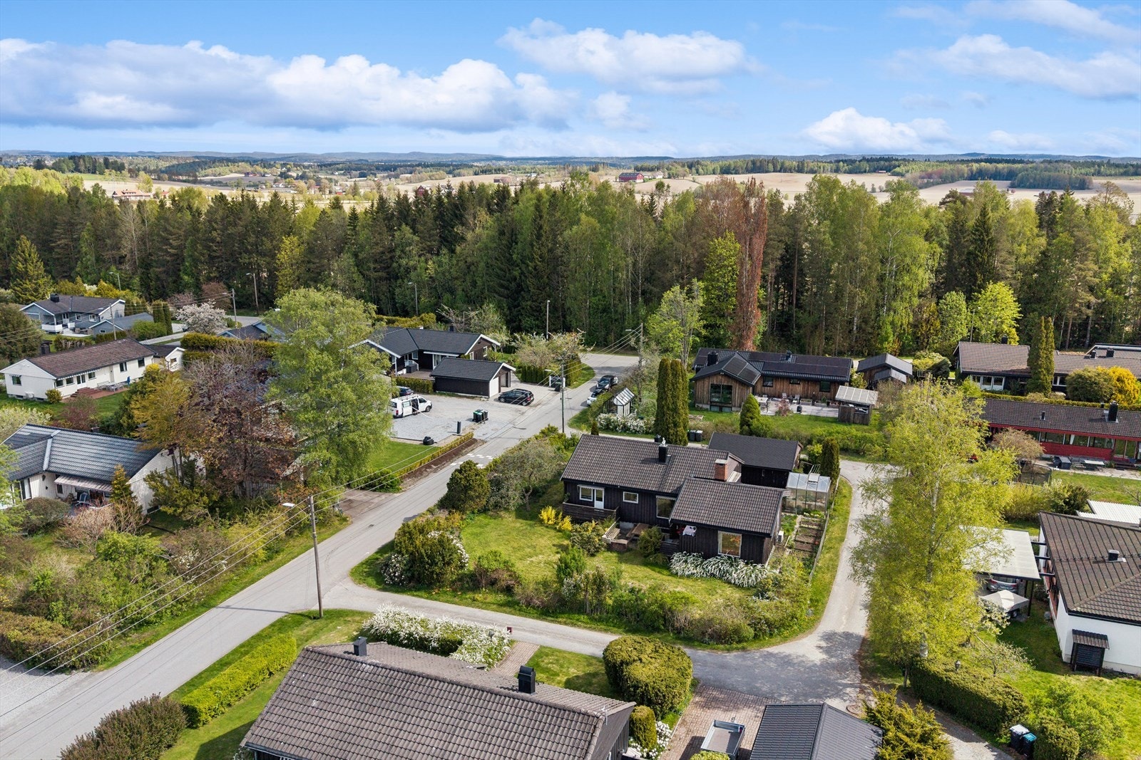 Flotte turområder i skogen like ved eiendommen Galleribilde