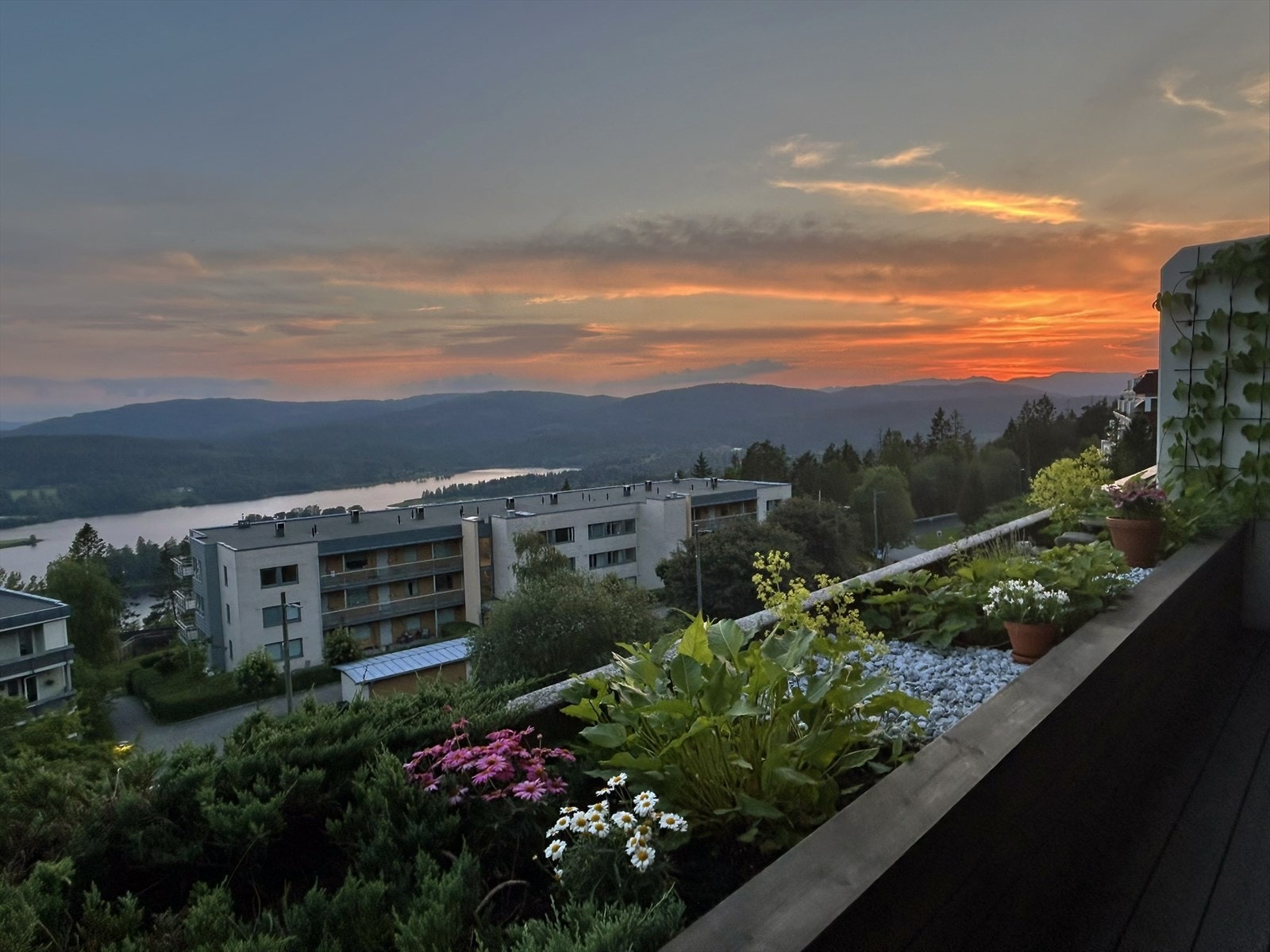 Selgers bilde-Solnedgang.JPEG Galleribilde