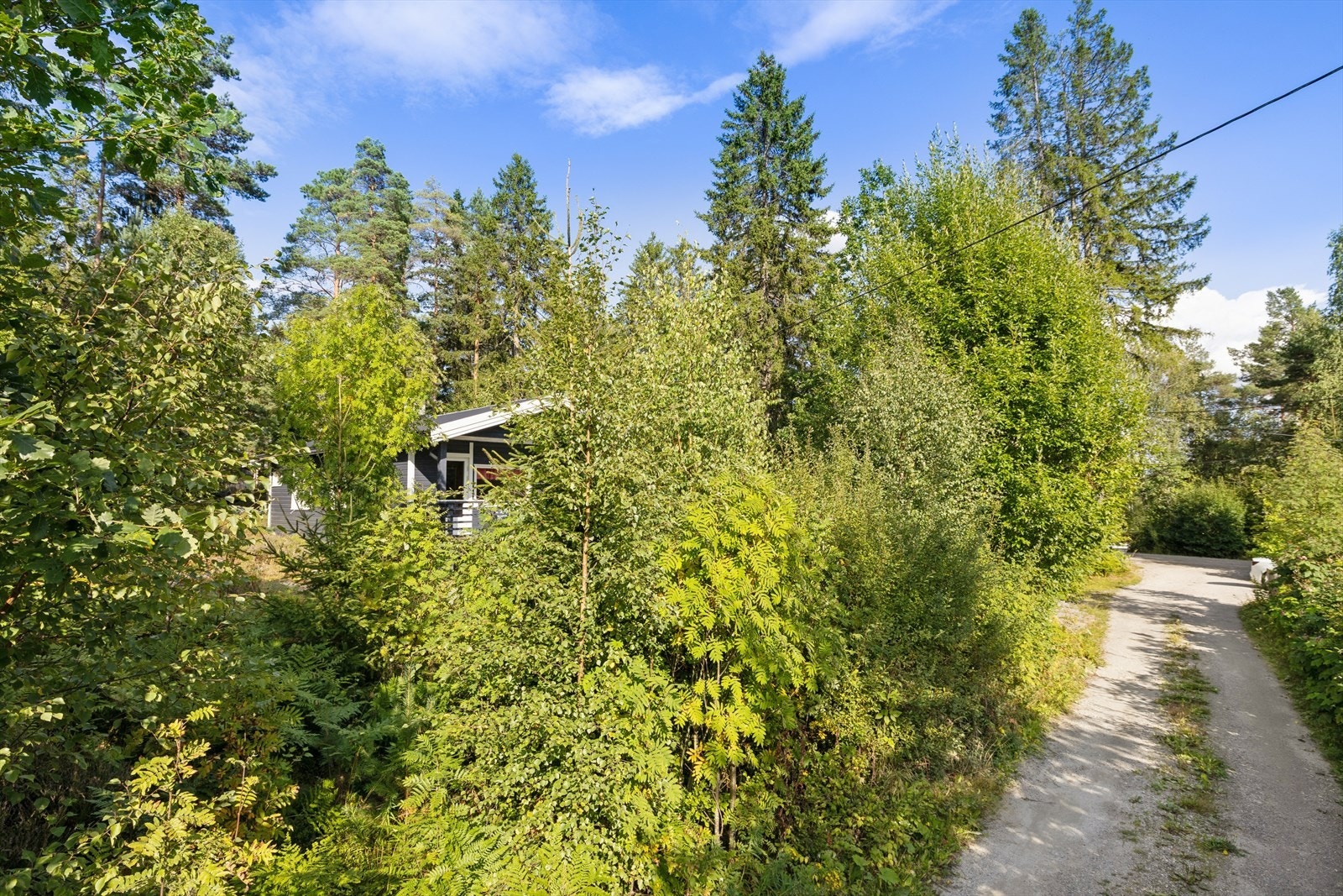Adkomst til eiendommen via privat vei. Galleribilde