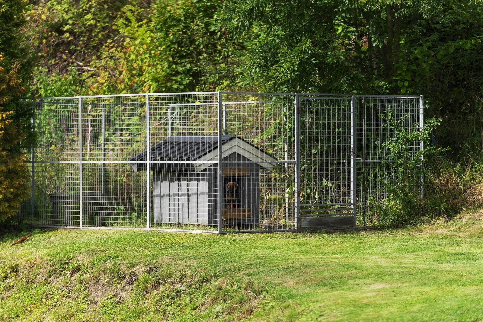 Uteområde Galleribilde