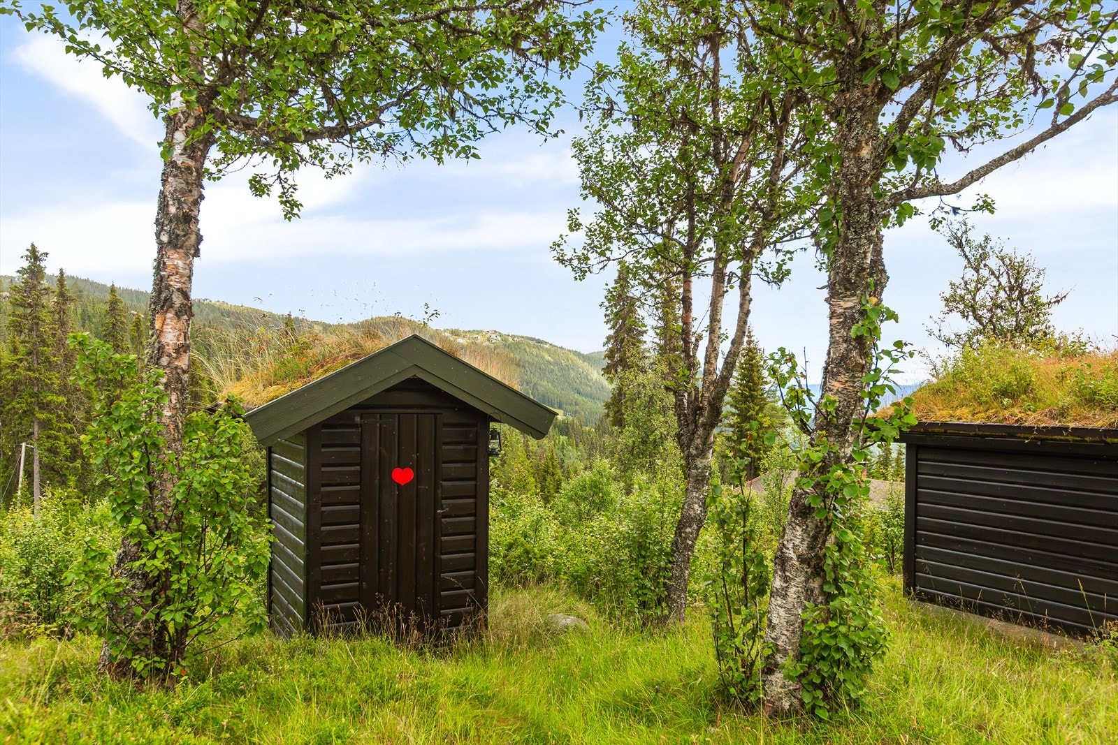 Utedoen har, som anneks og uthus, torv på taket. Galleribilde