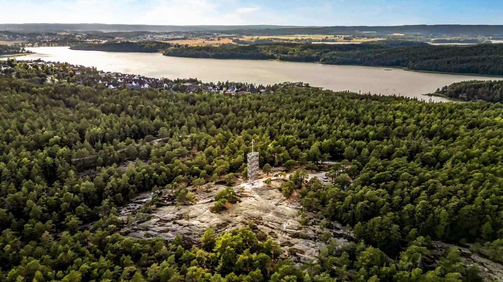 Utsikt over nærområdet og omkringliggende skog. Galleribilde