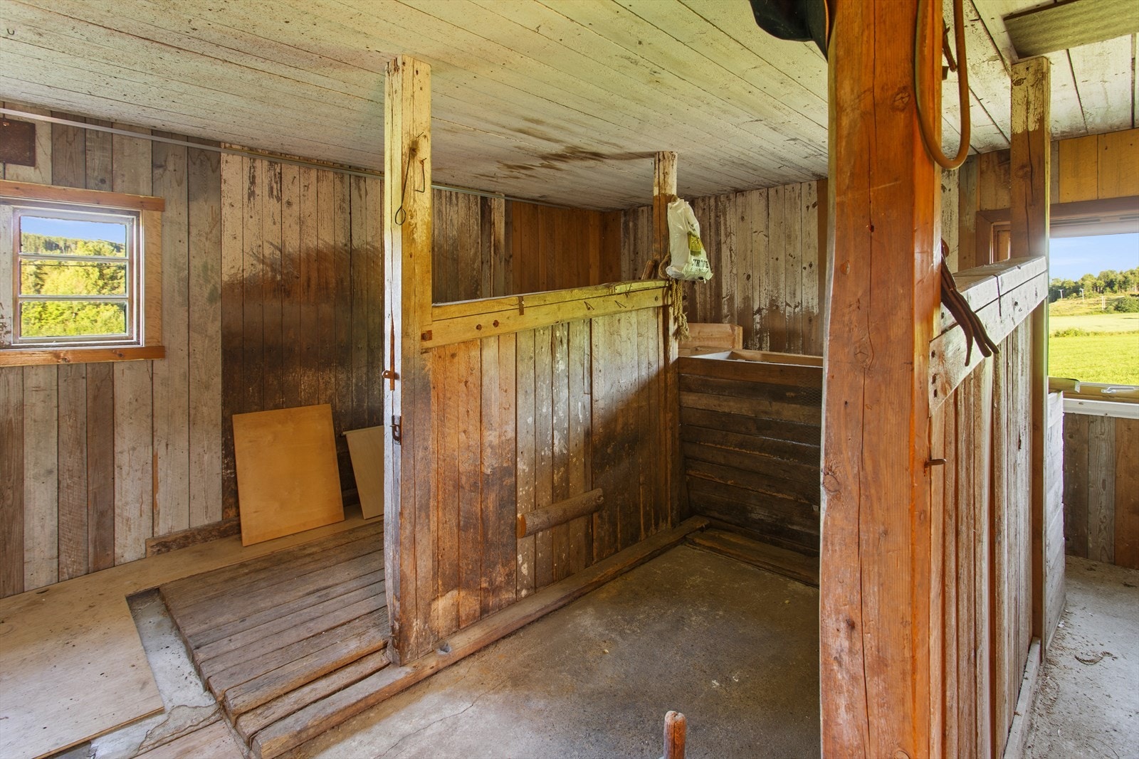 Stall med båser Galleribilde