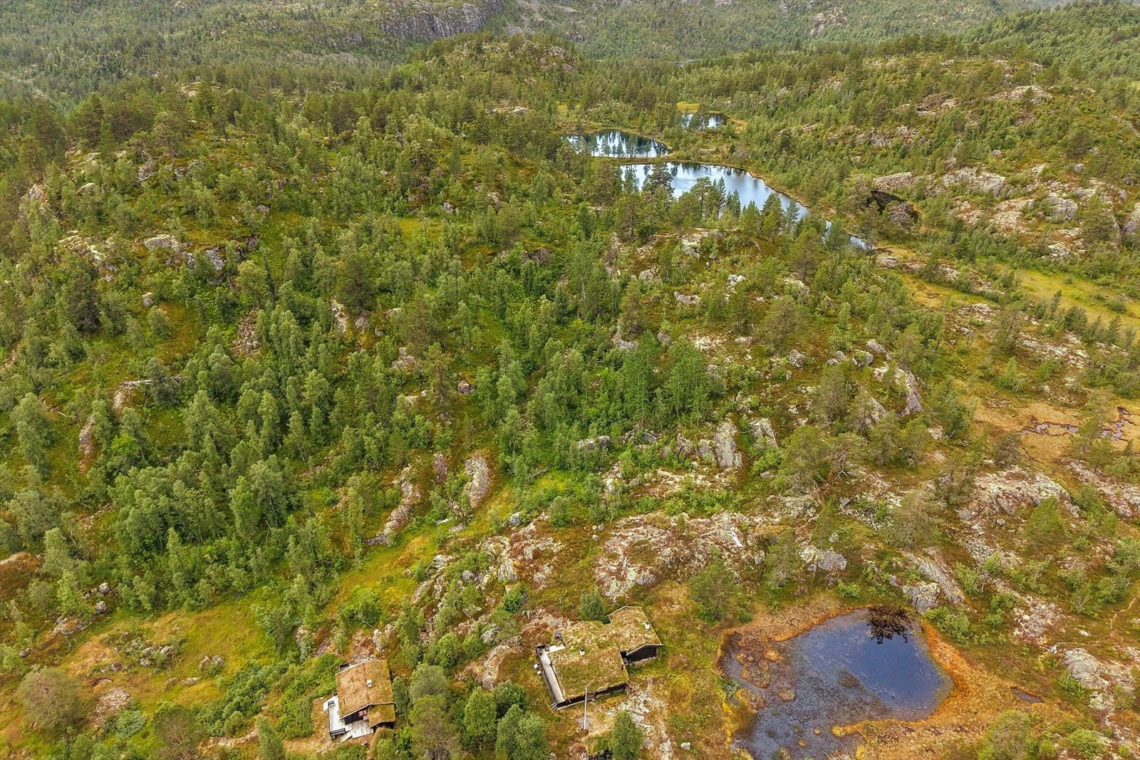 Bare noen få minutter fra hytta kan du senke skuldrene, late deg i solen og ta et forfriskende bad i et deilig fjellvann. Galleribilde