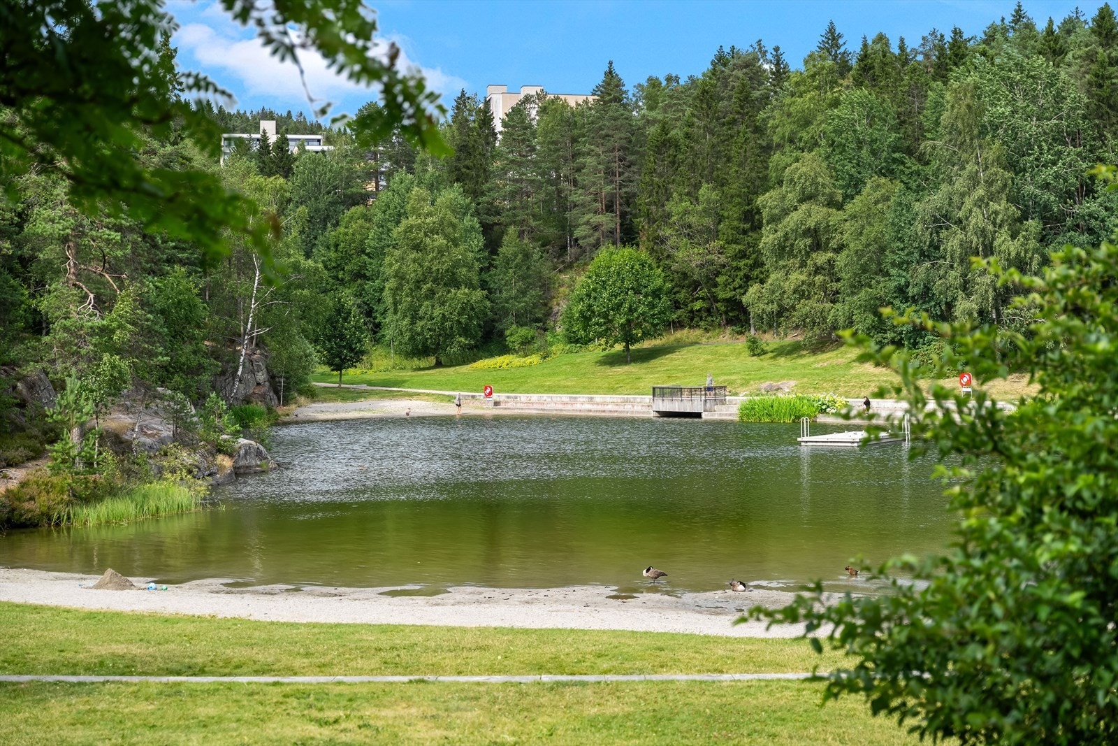 Svarttjern er en nydelig badeplass som ligger kun en kort gåtur fra boligen. Galleribilde