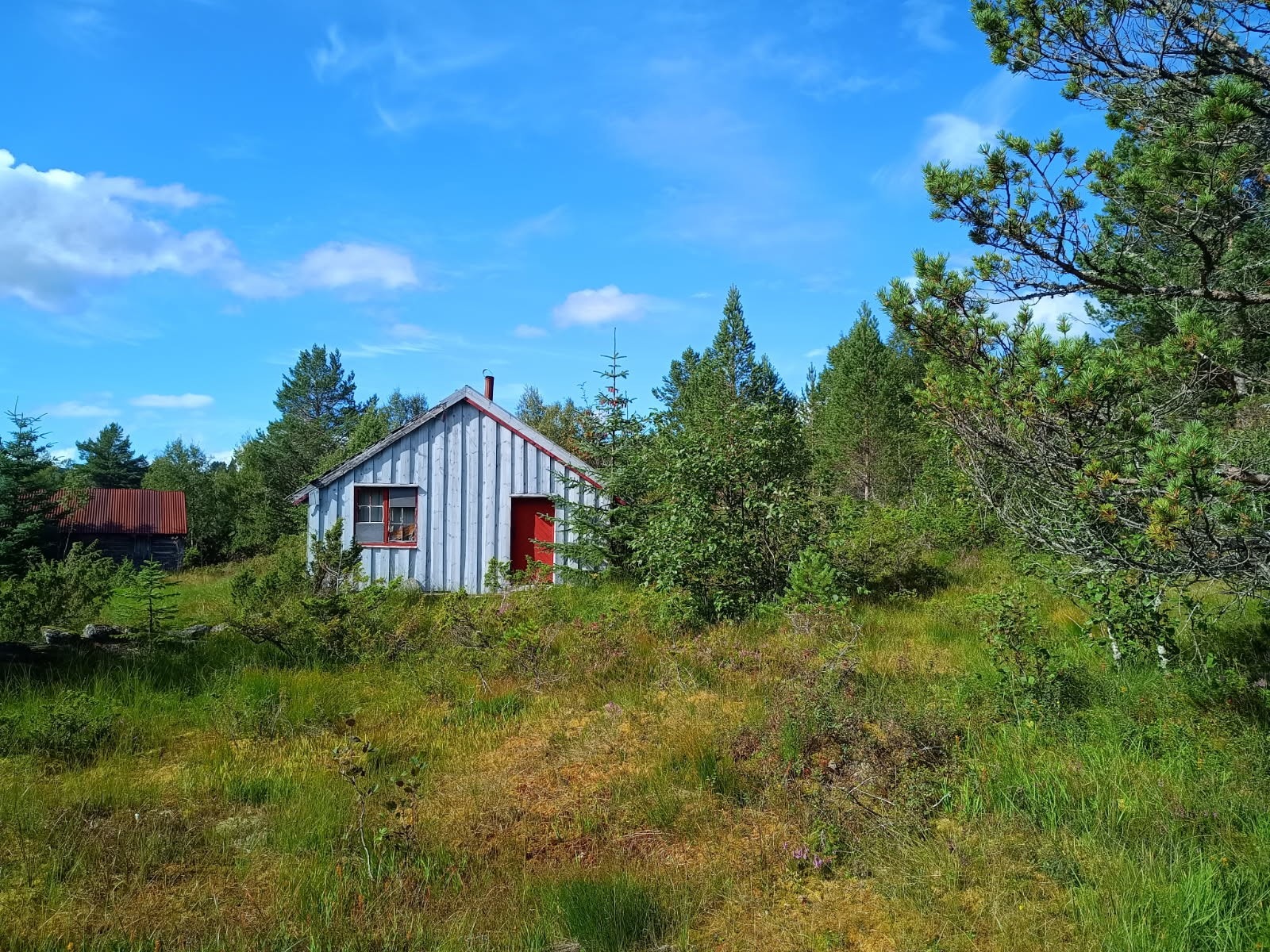 Selet på Setra Galleribilde