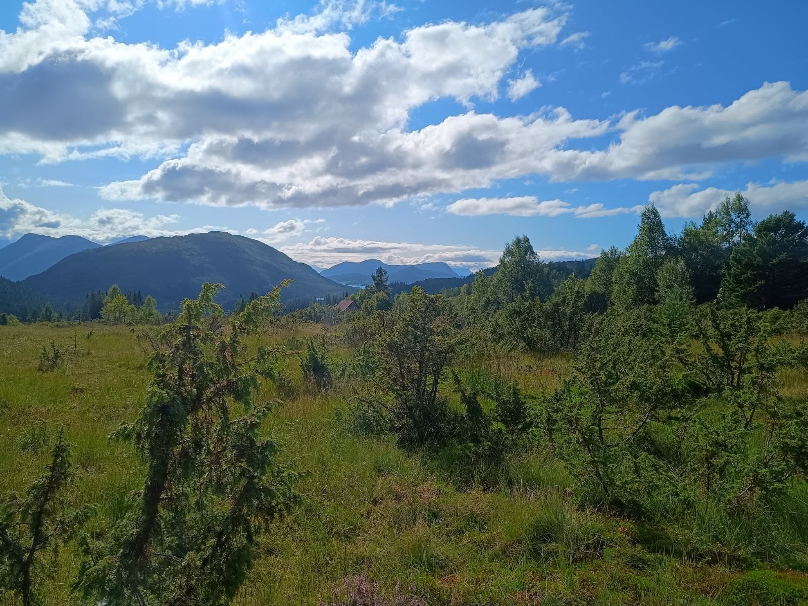 Utsikten Galleribilde
