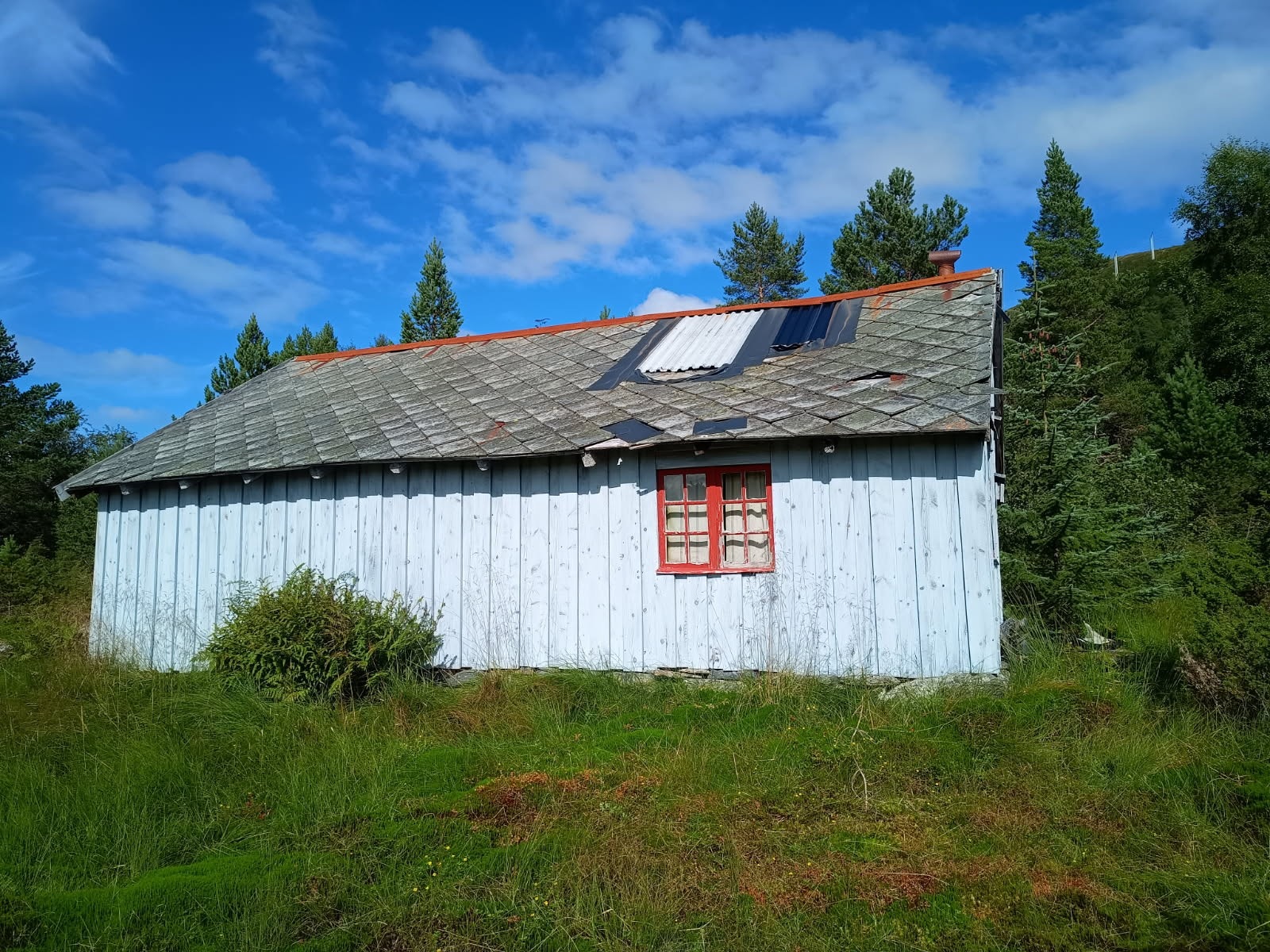 Selet på Setra Galleribilde