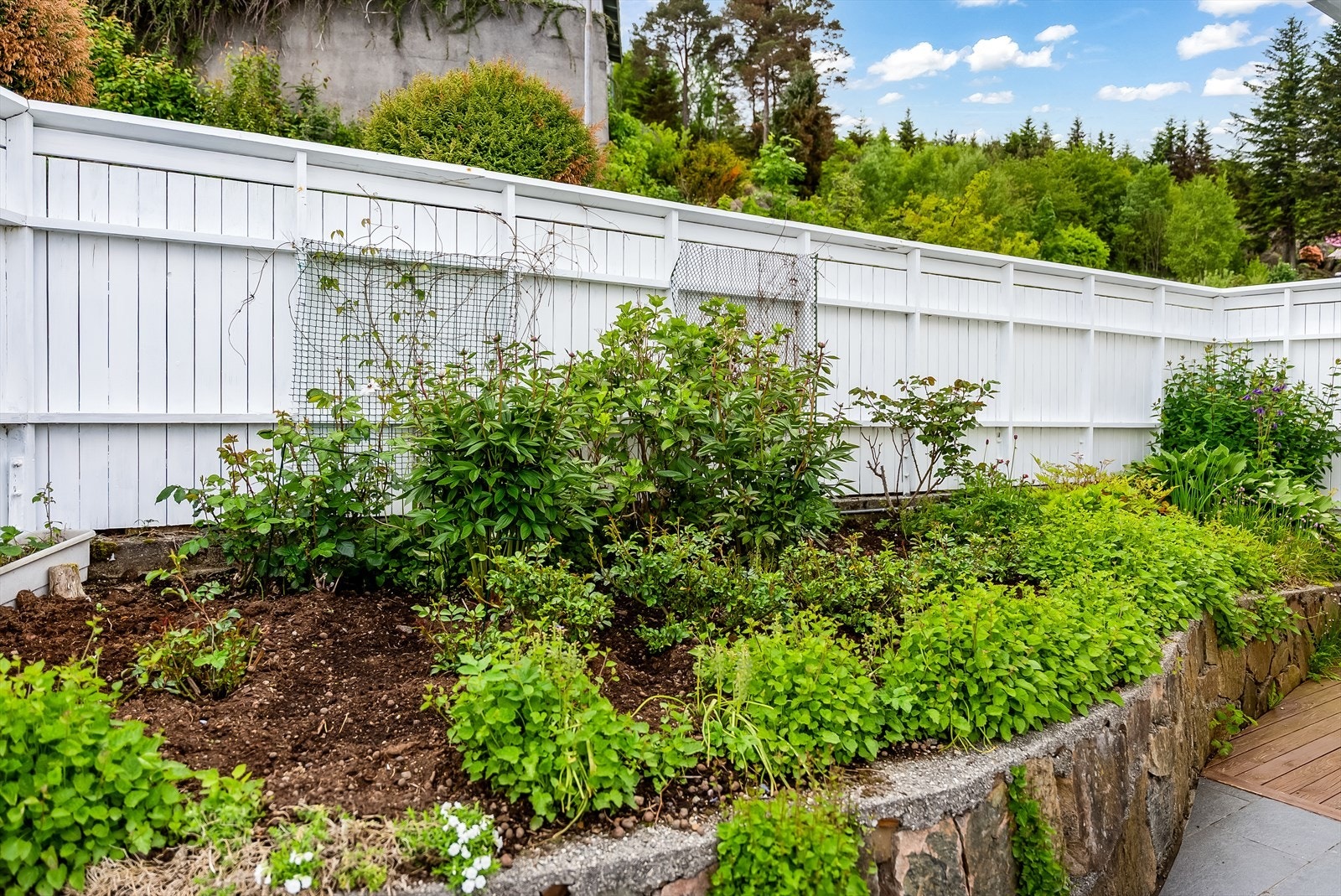 Eiendommen er pent opparbeidet med beplanting i bed. Galleribilde