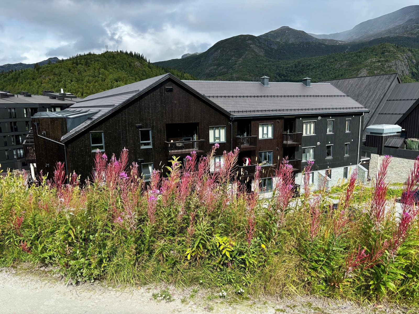 2 Galleribilde