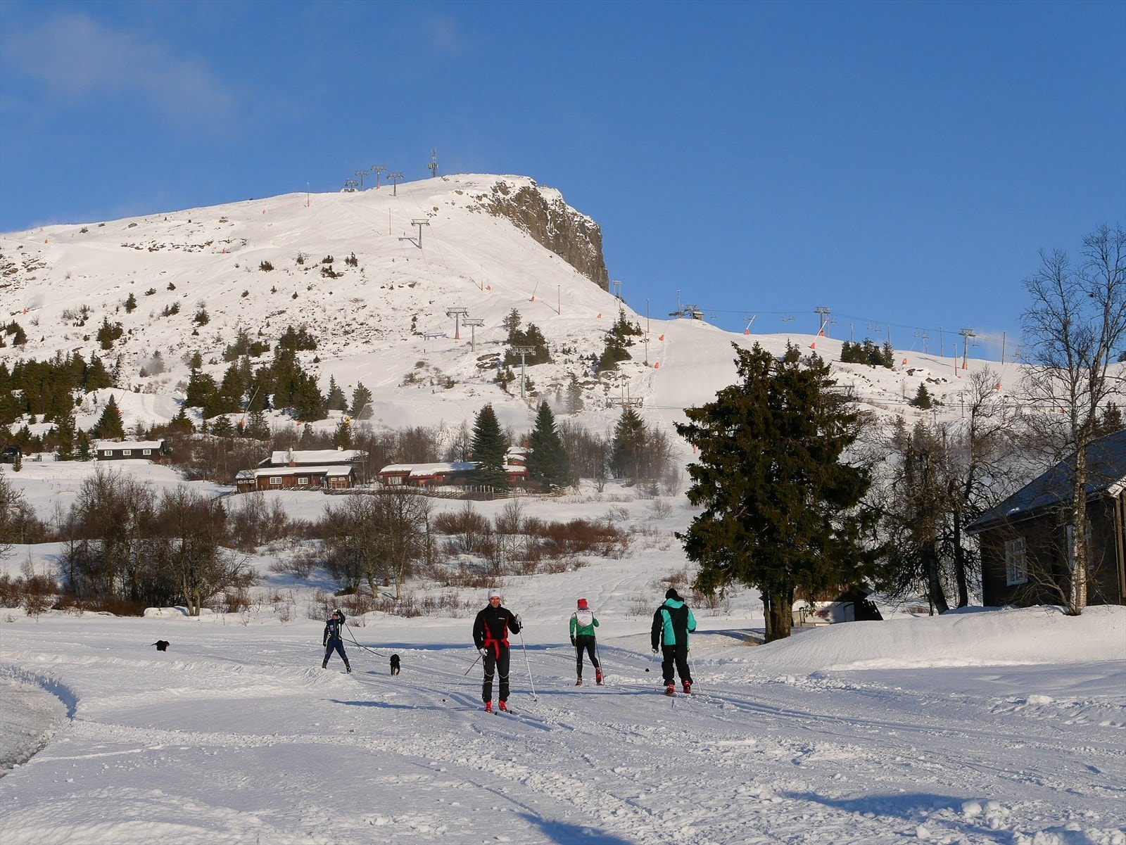 Skeikampen alpinsenter ligger kun 300 meter unna, med 11 heiser og 21 nedfarter. Galleribilde