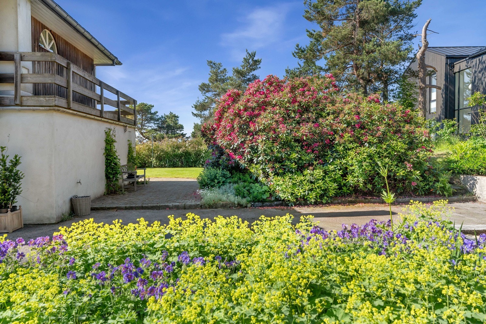 Legg merke til den store rhododendron. Hagen er opparbeidet over mange år. Galleribilde