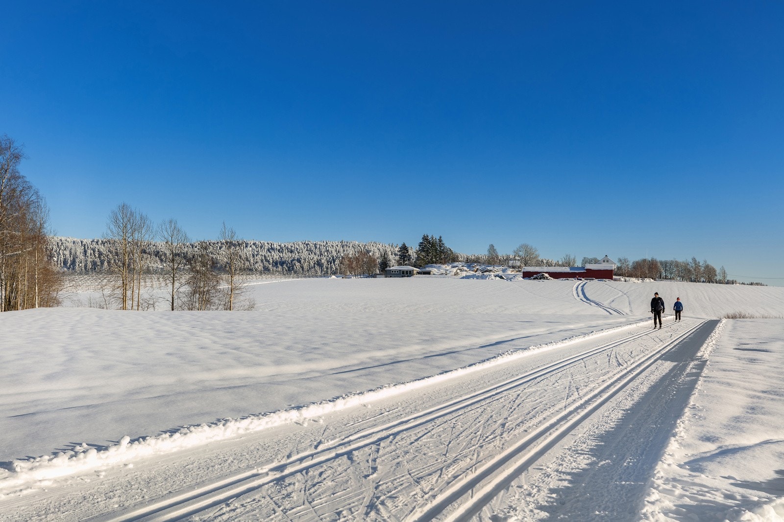 spikkestad_skiloyper Galleribilde