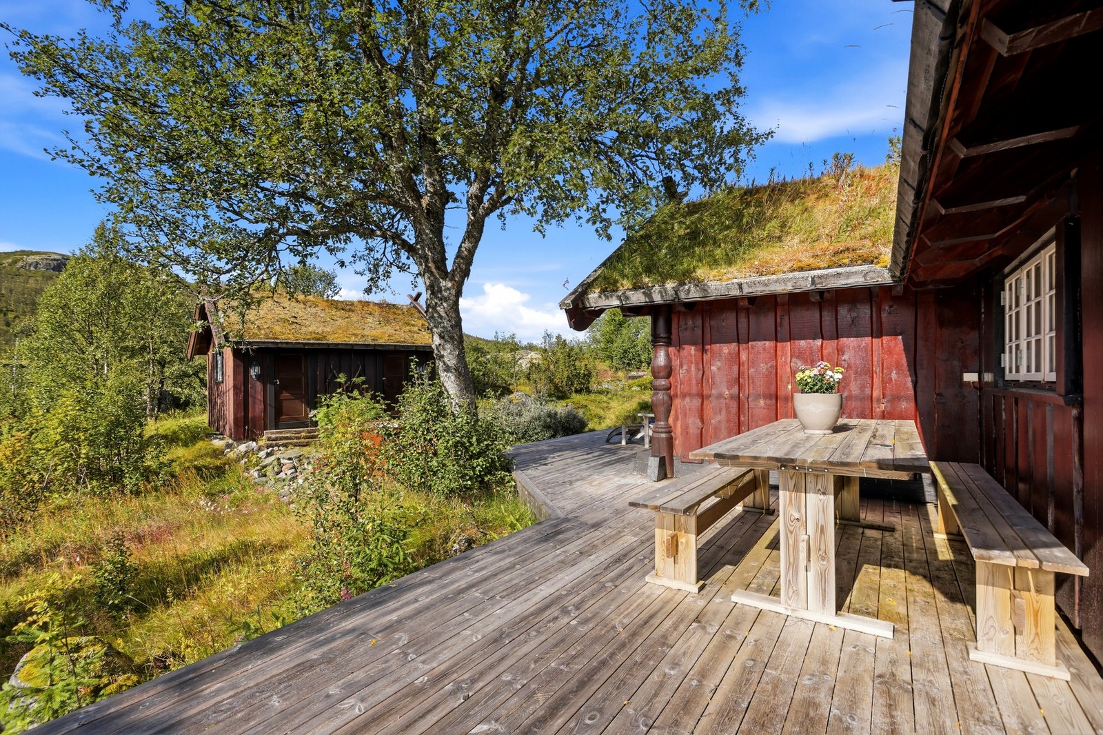 Hytta ligger i et rolig område, veletablert med flott natur rundt og kort veg til både skiløyper og skianlegg Galleribilde