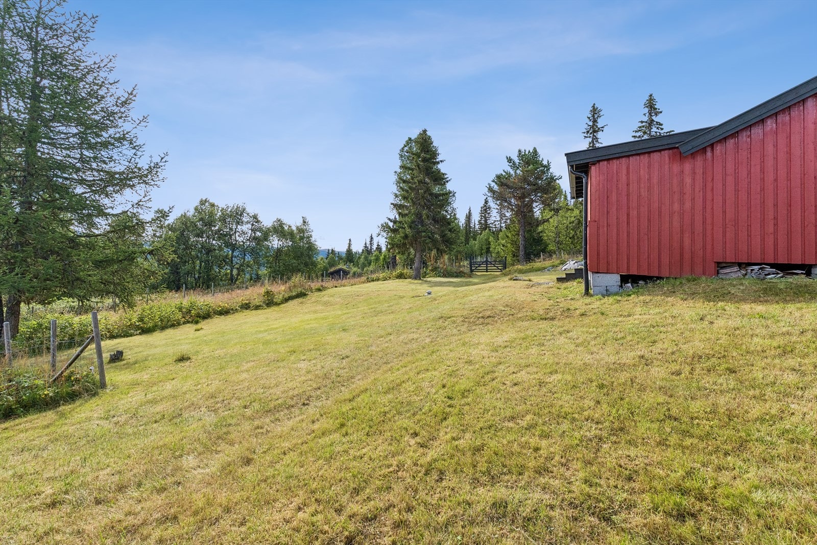 Skrånende tomt som er beplantet med plen og gjerde. Galleribilde