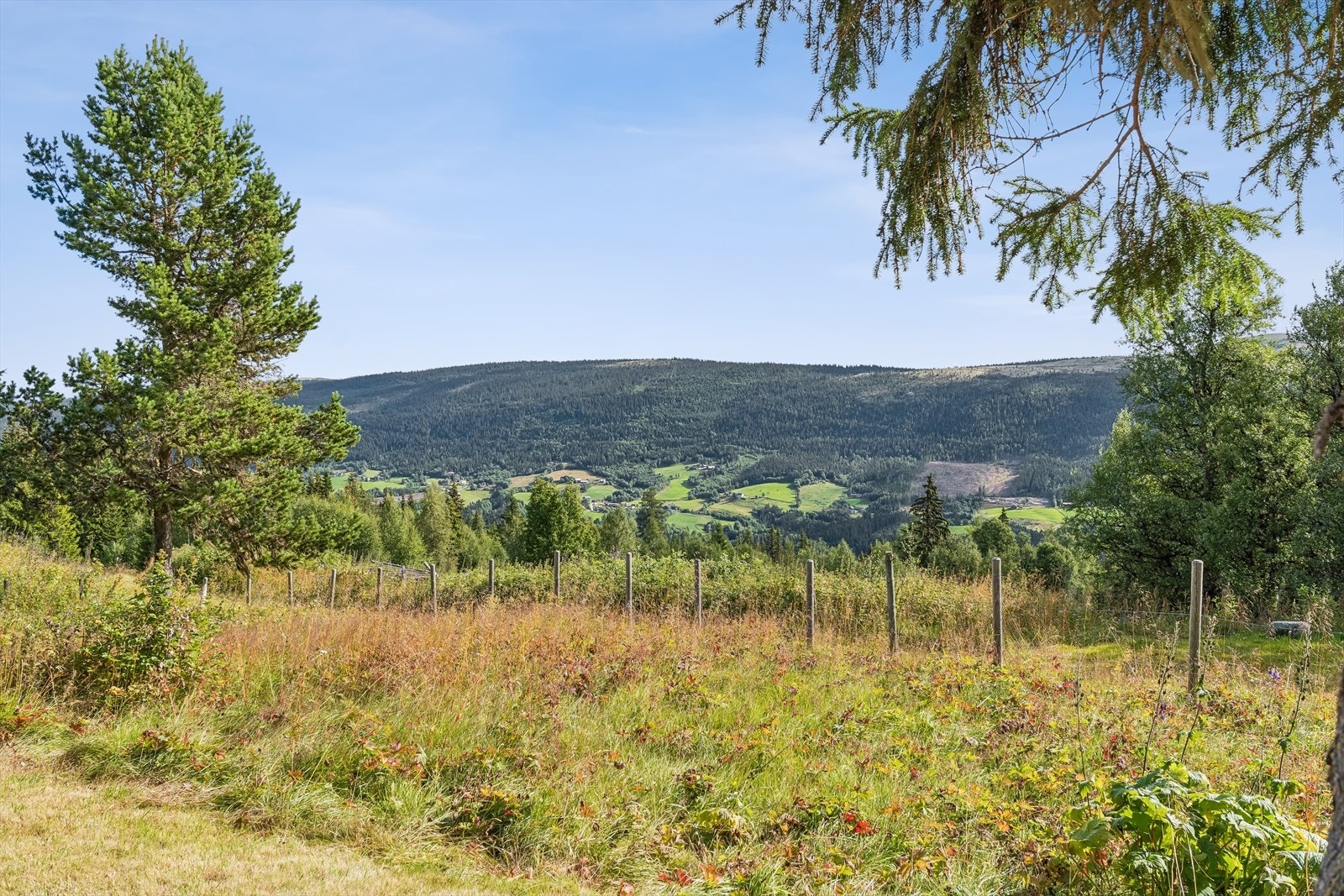 Området byr på flotte turmuligheter i skog og mark, sommer som vinter. Galleribilde