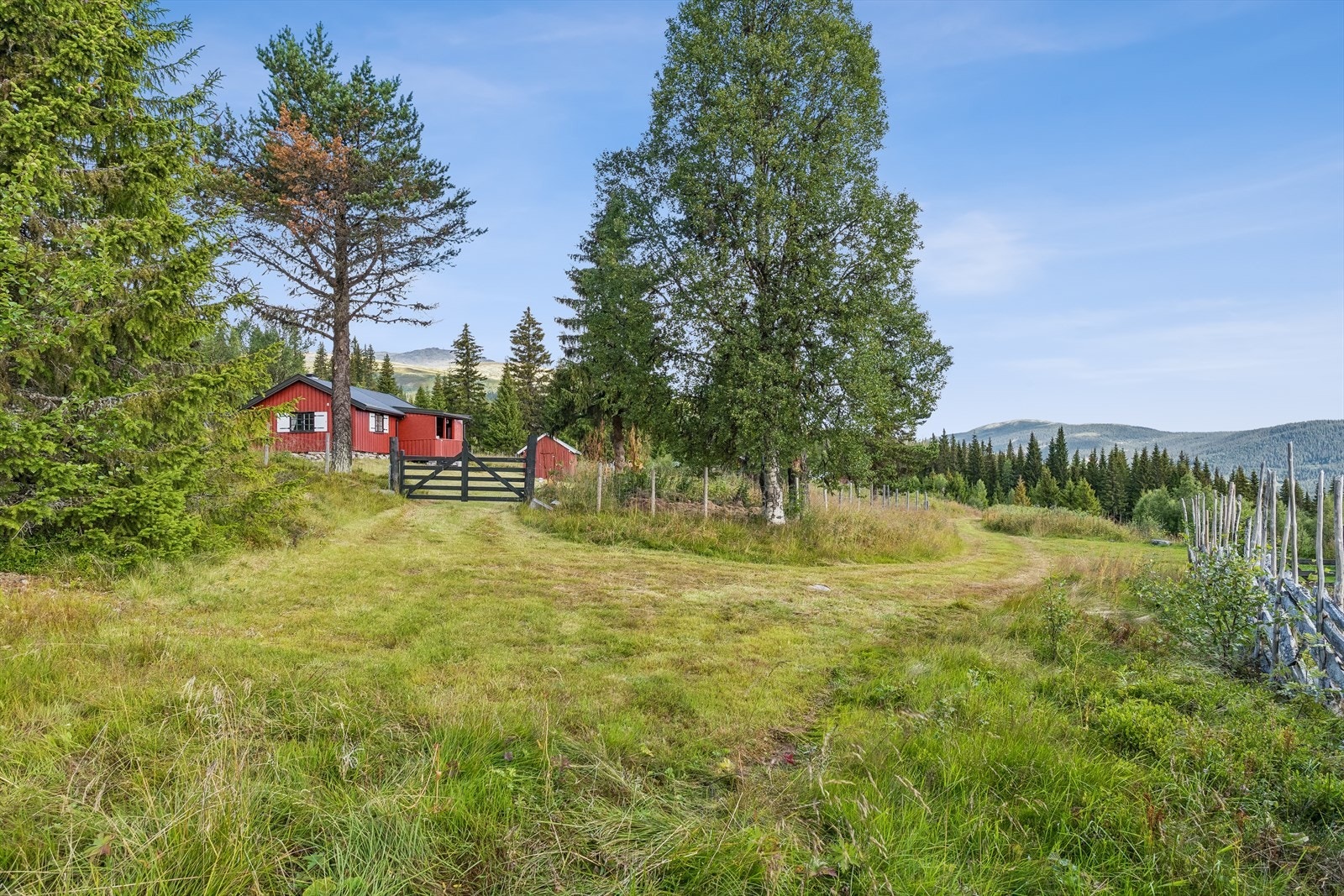 Flott tun. I bakgrunn skimtes Tronfjell. Galleribilde