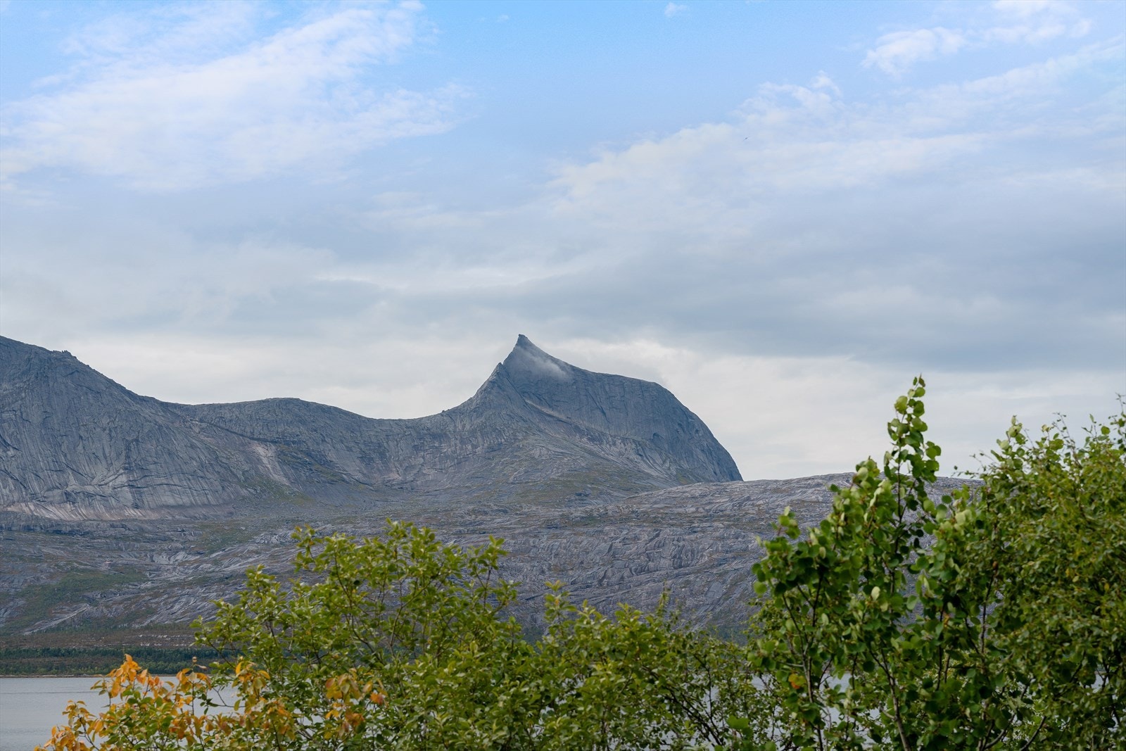 Sjekk den utsikten! Galleribilde
