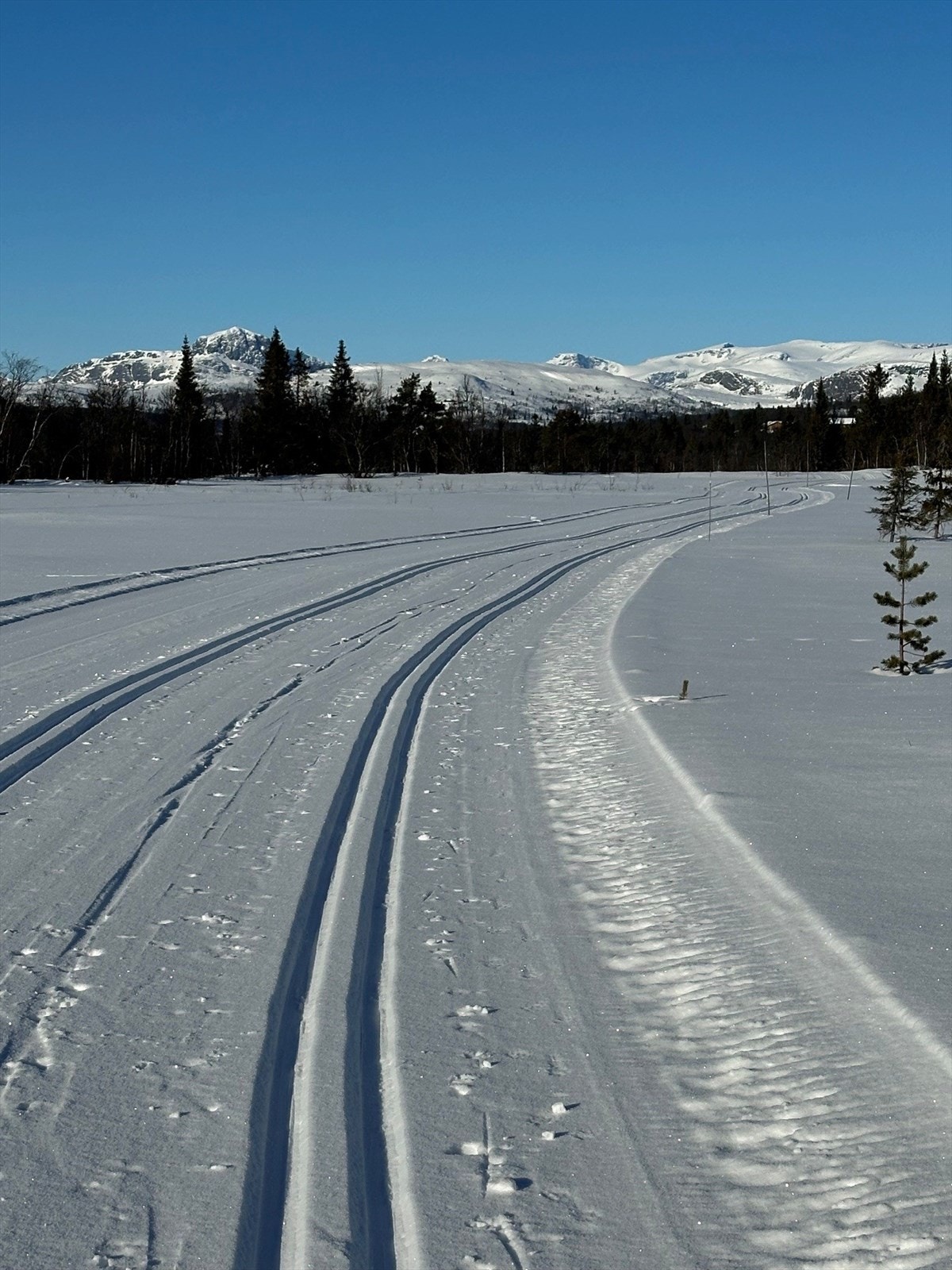Her finner du velpreparerte løyper innover fjellet, både mot Beitostølen og Yddin, og videre sørover til Aurdalsåsen. (Selgers foto) Galleribilde