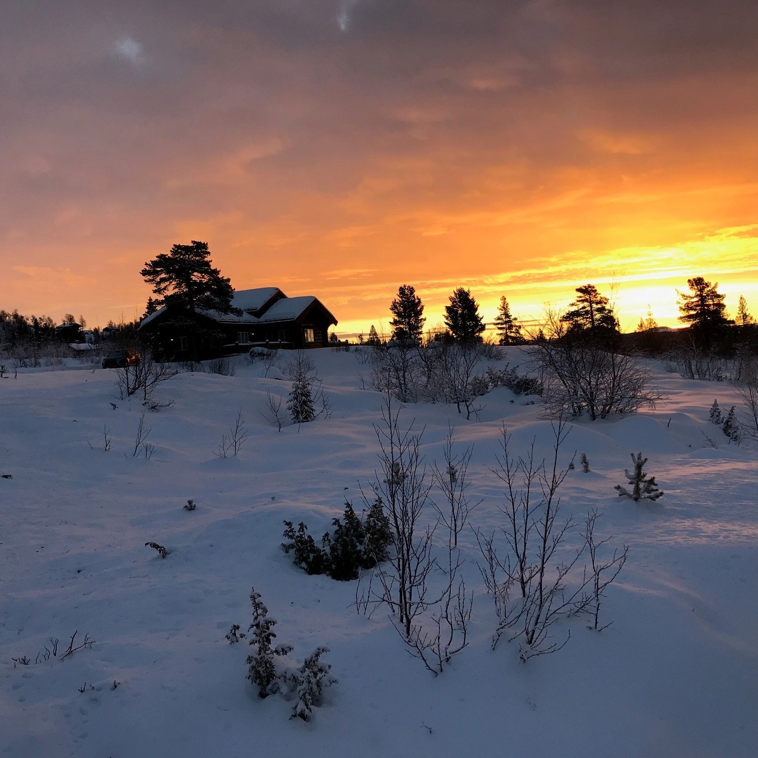 Det er bare å glede seg til nydelige naturopplevelser året rundt! (Selgers foto). Galleribilde