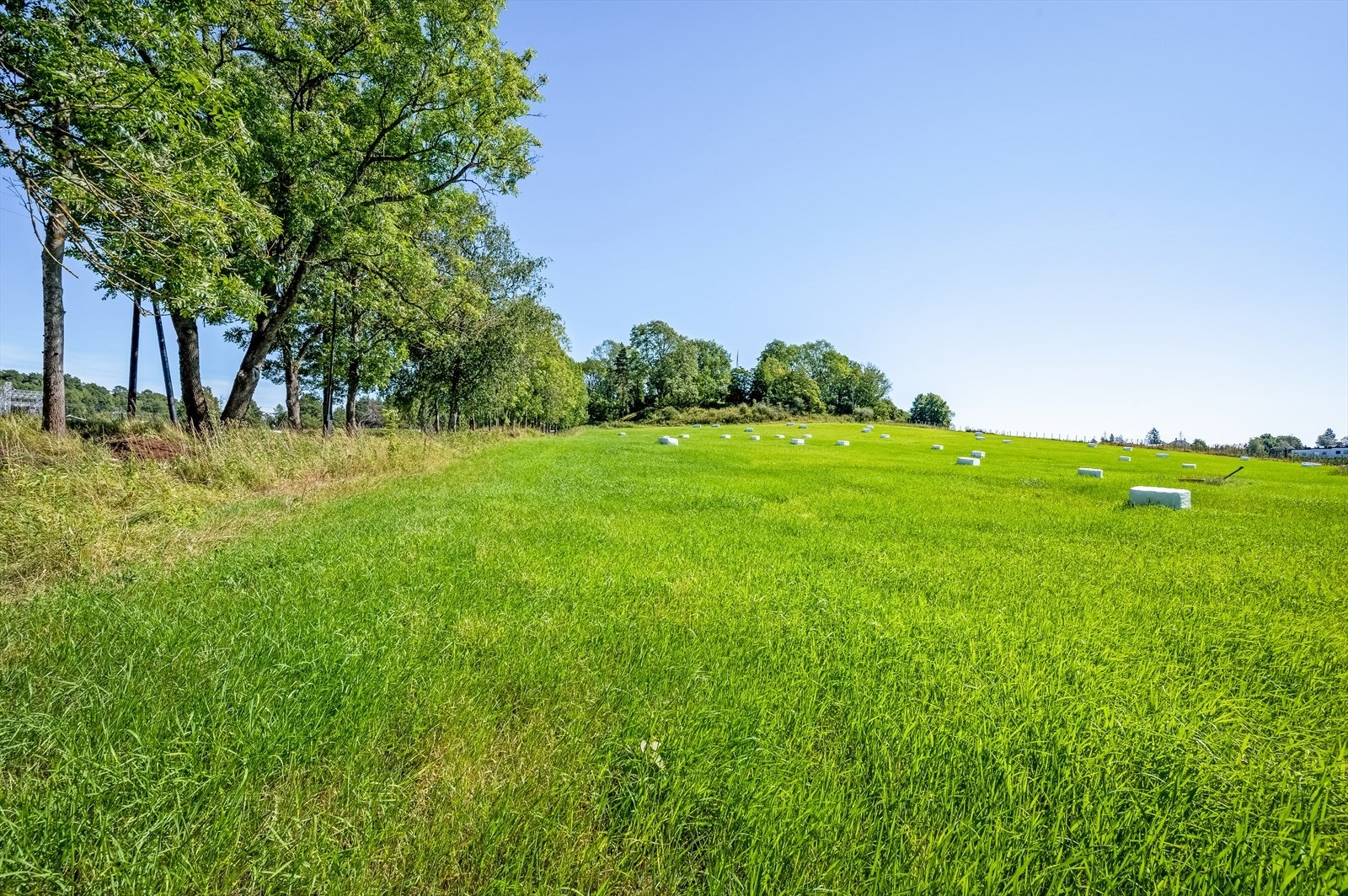 Abildsø farm ca. ti minutters gange fra boligen. Galleribilde