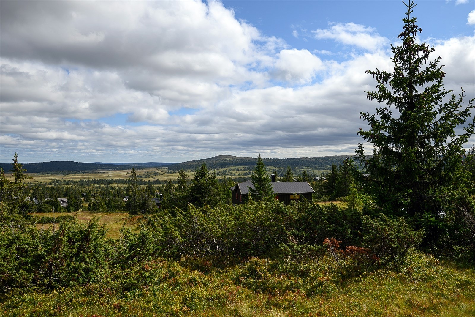 Sjusjøen byr på et av landets flotteste turterreng, sommer som vinter. Meget familievennlig. Galleribilde