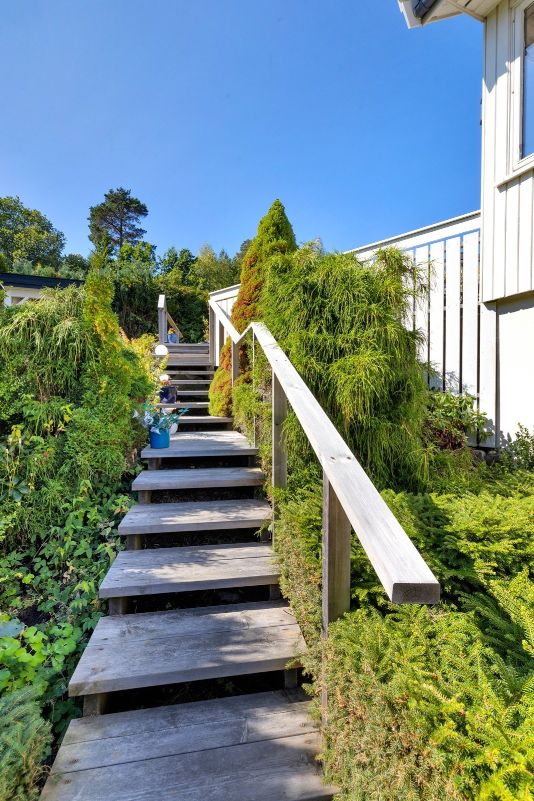 Trappeadkomst til hagen Galleribilde