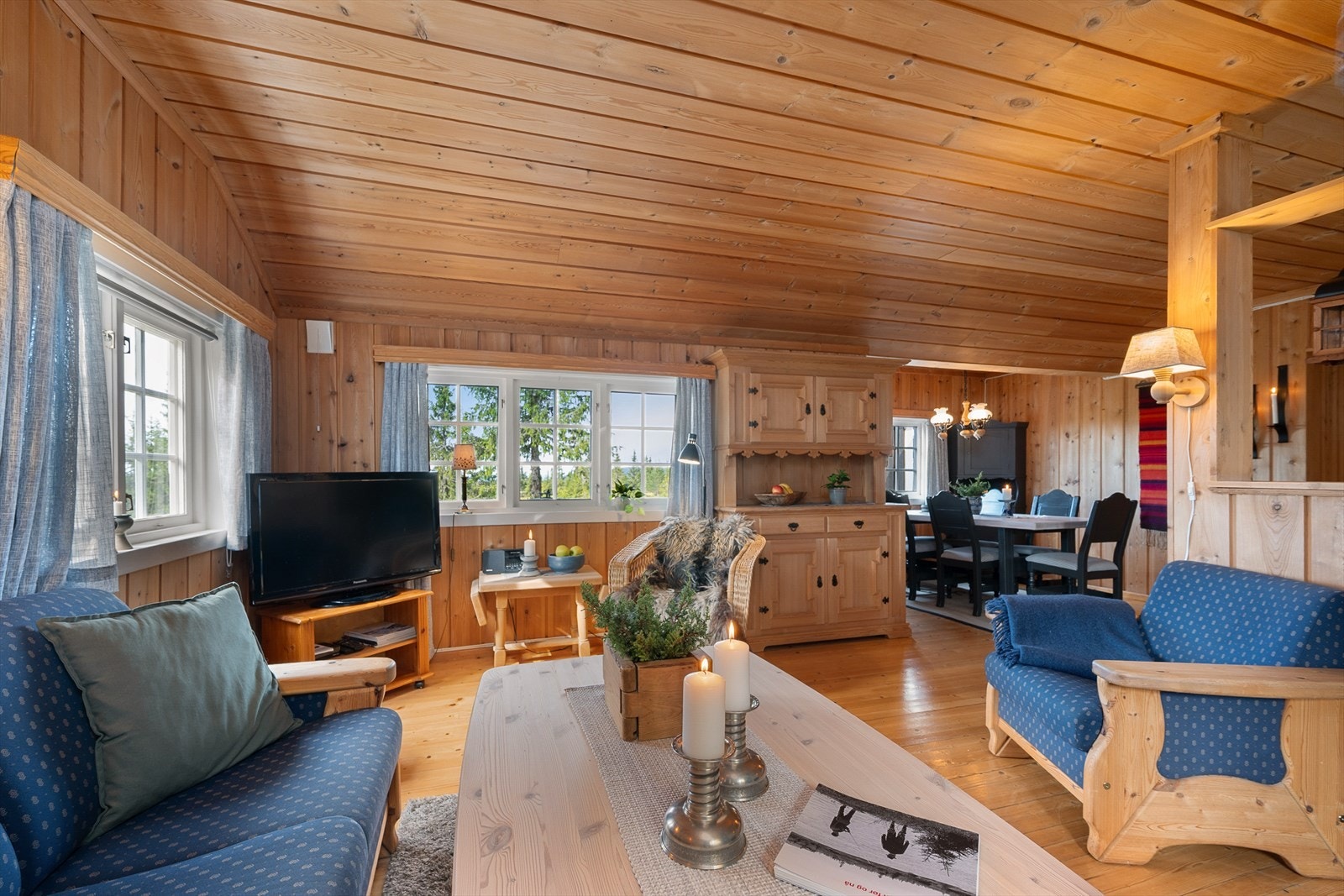 Store vindusflater gir godt med dagslys og utsyn mot naturen. Galleribilde