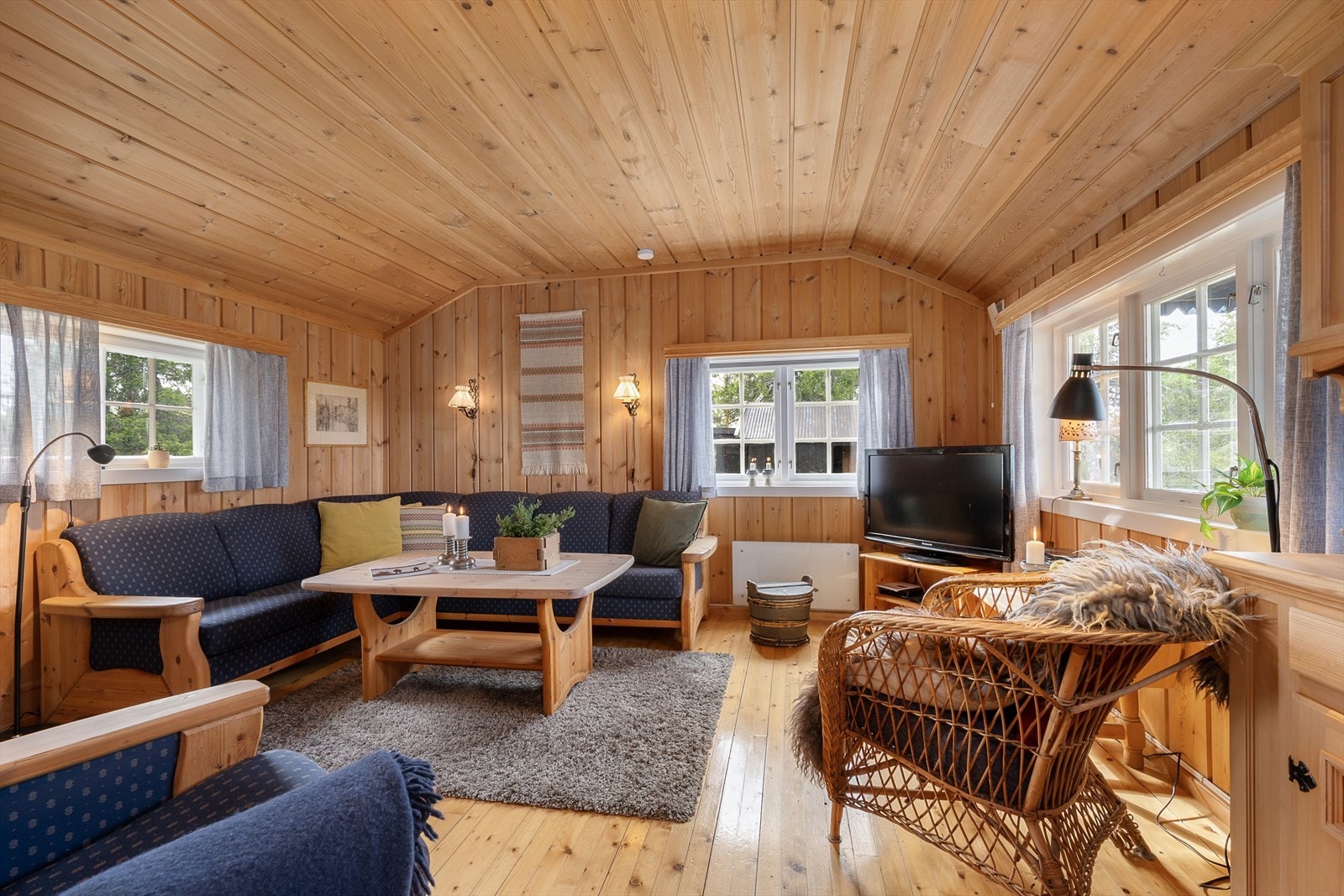 Stuen har god plass til sofagruppe for samling av familie og venner. Galleribilde