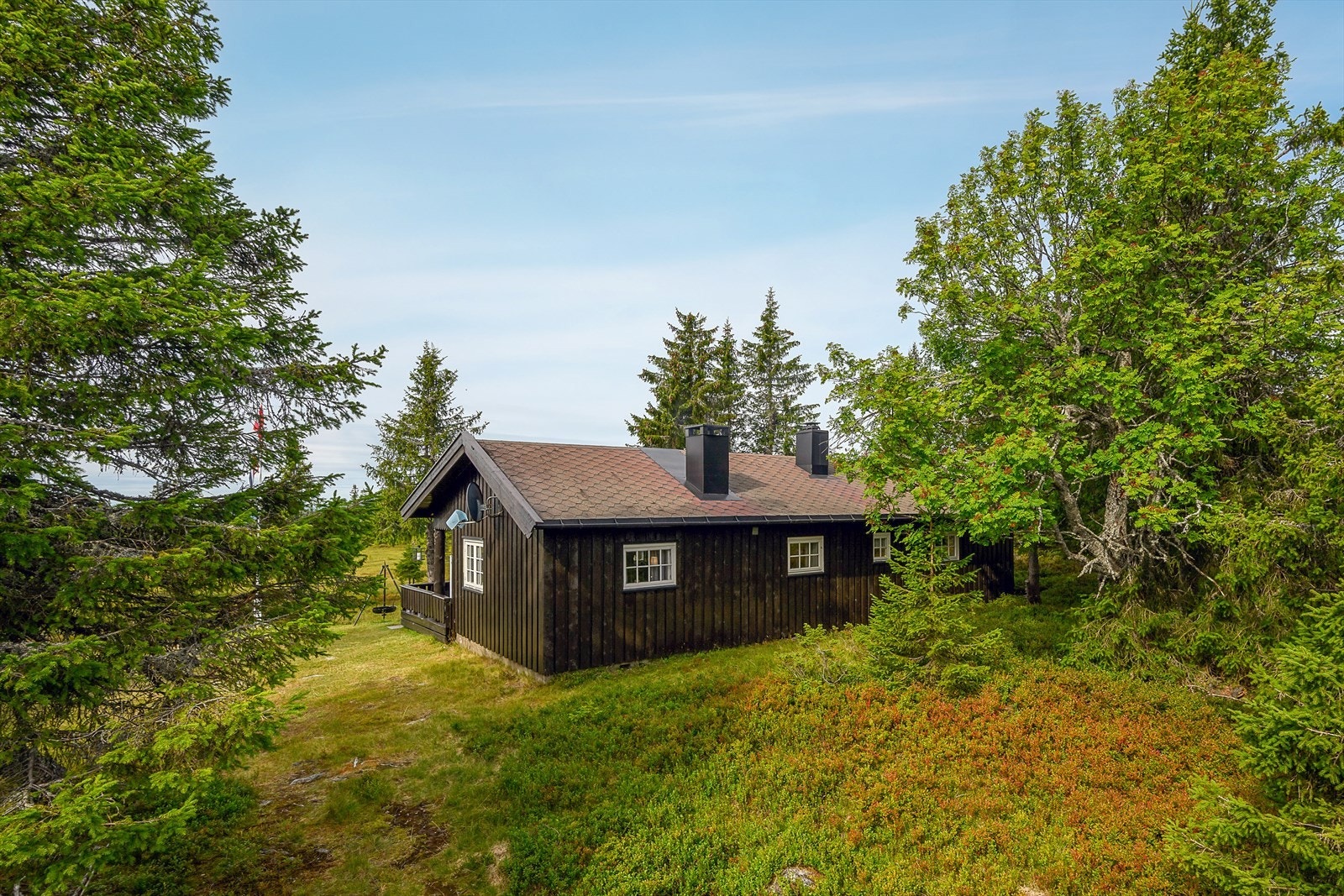 Tomten er omgitt av skog og åpent fjellterreng. Galleribilde