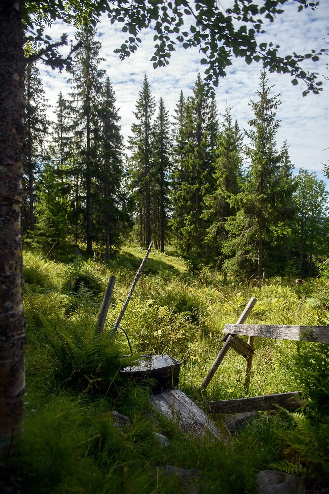 Naturlig vannkilde tilgjengelig sommerstid, rett bak hytta. Galleribilde