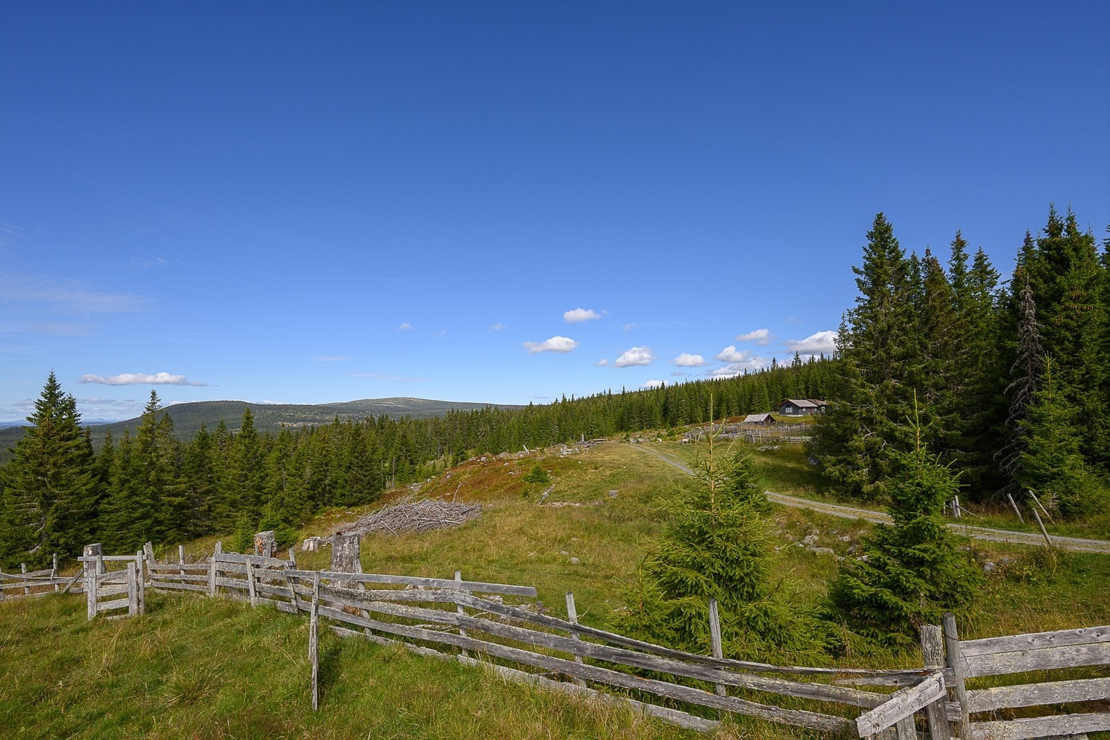 Her er du omgitt av fjellnatur, med Sjusjøen Skisenter en 13-minutters kjøretur unna. Bildet viser området der det parkeres, både sommer og vinter. Galleribilde