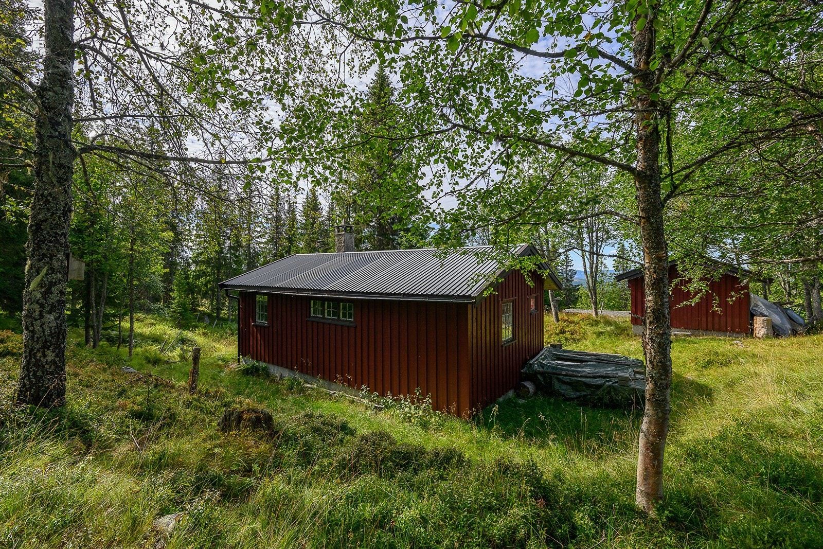En klassisk hytte i skogsterreng. Galleribilde