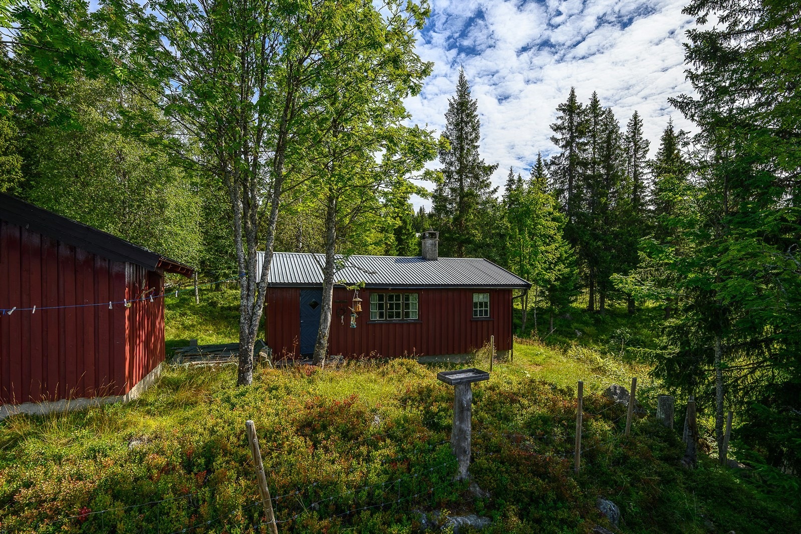 Velkommen til Storkvanndalsvegen 346! For deg som er på jakt etter fred og ro og det enkle hyttelivet. Foto: Lars Marius Bækkevold. Galleribilde