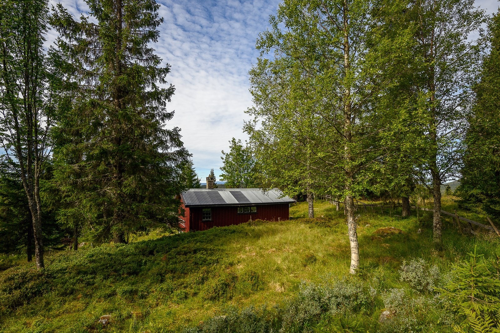 Eiendommen ligger usjenert til på en romslig naturtomt. Lett skrånende terreng. Galleribilde