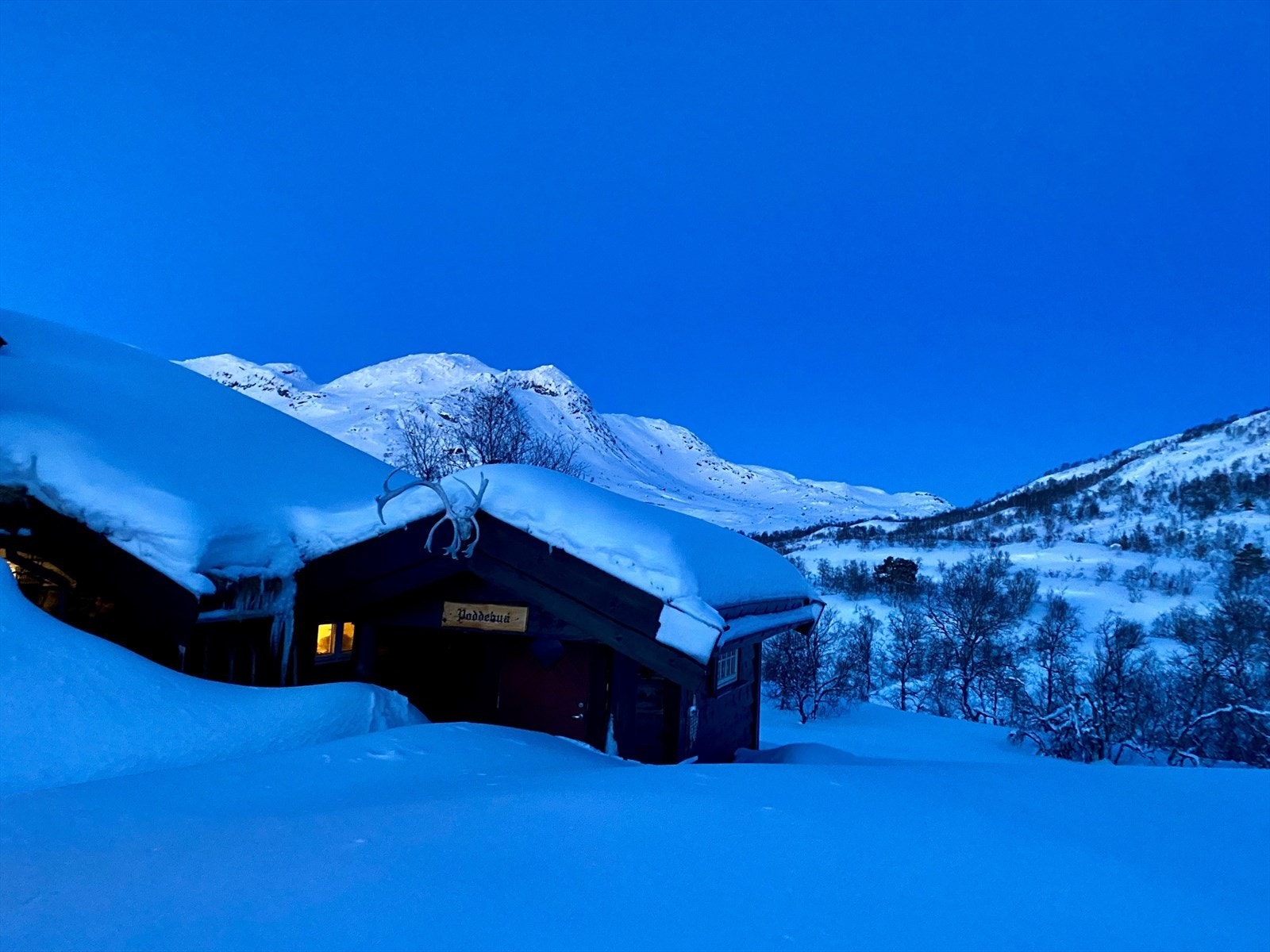 Vinter (privat bilde) Galleribilde