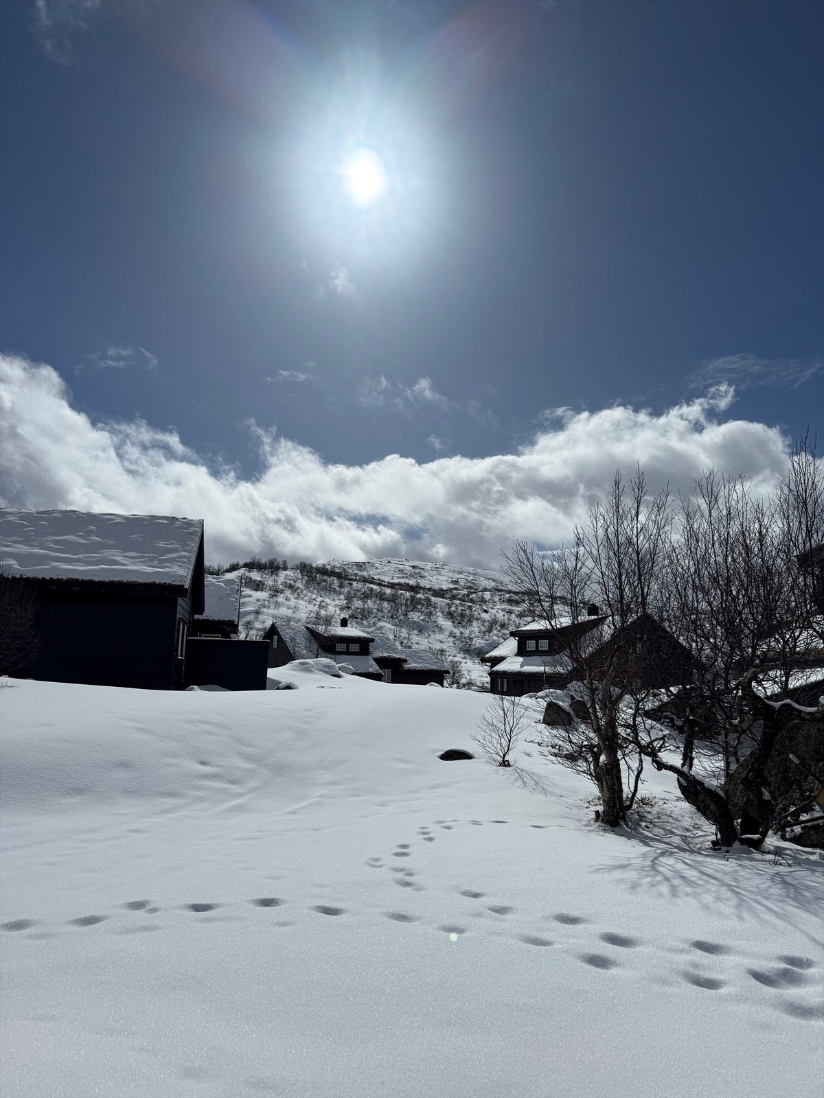 Vinter (privat bilde) Galleribilde