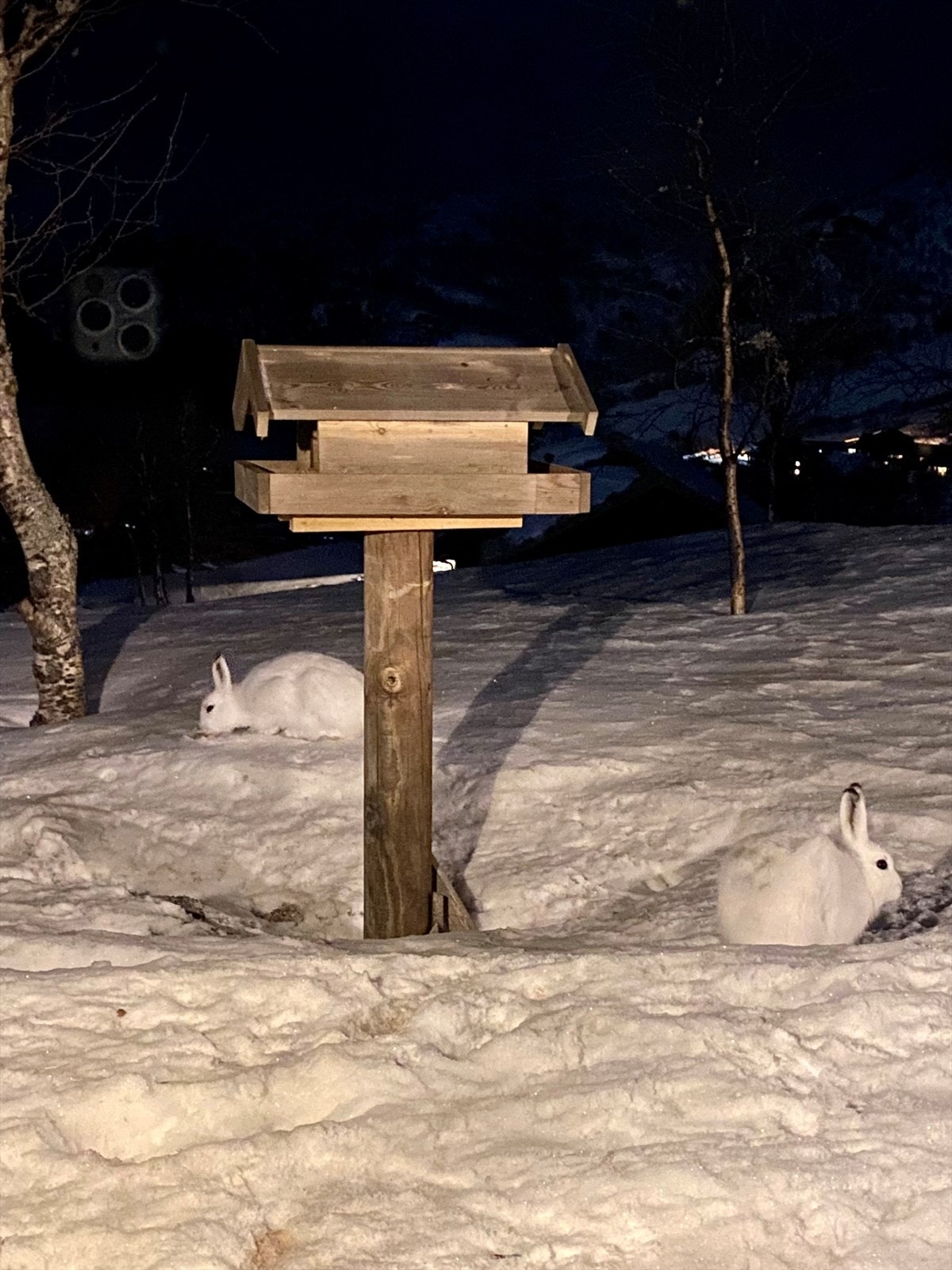 Vinter (privat bilde) Galleribilde