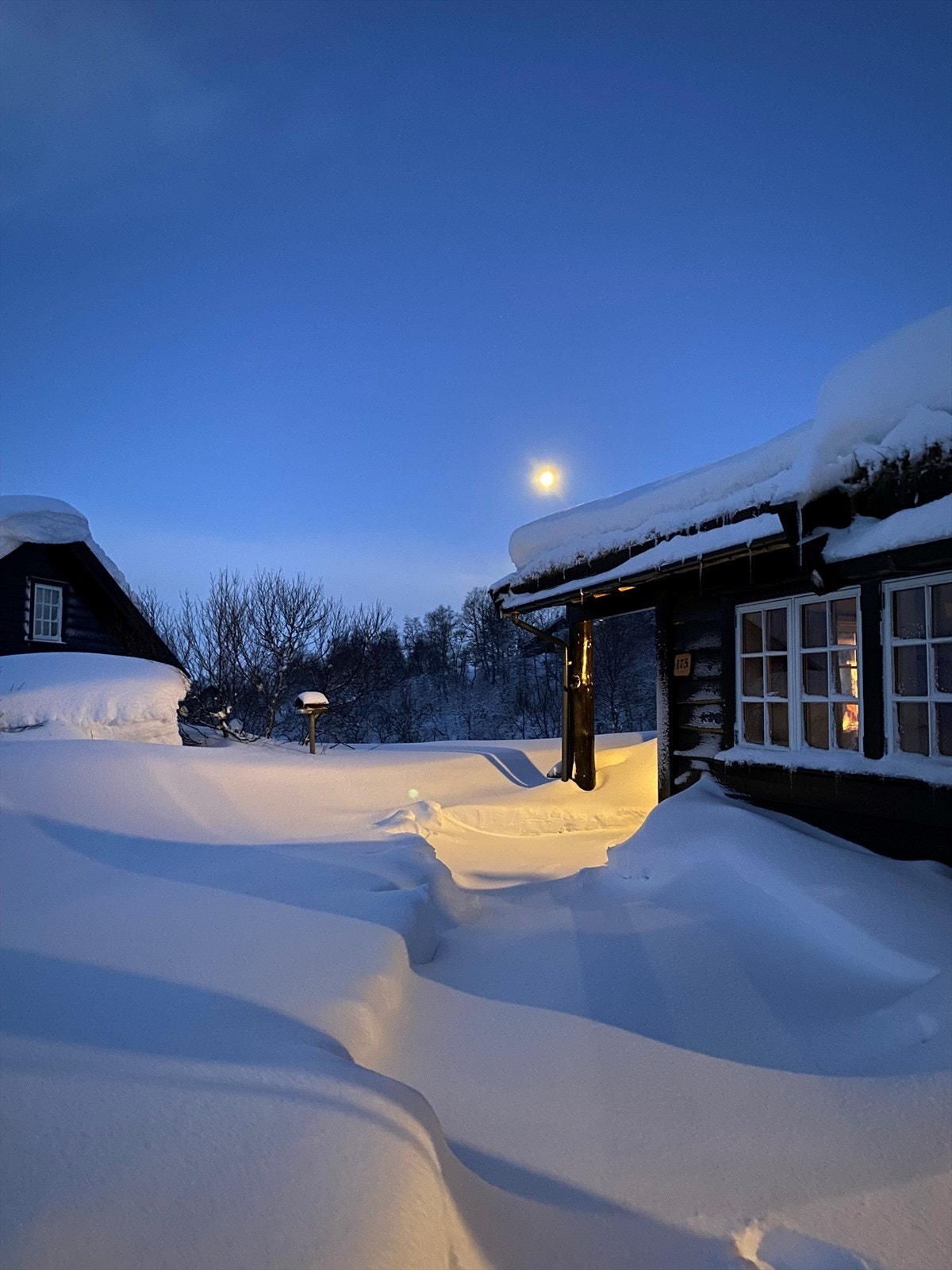 Vinter (privat bilde) Galleribilde