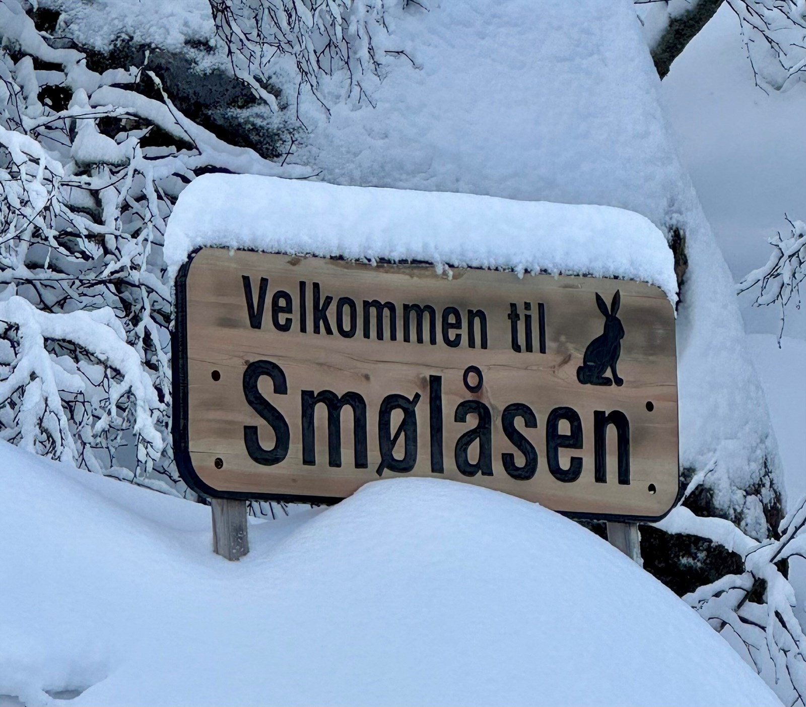Velkommen til Smølåsen Galleribilde