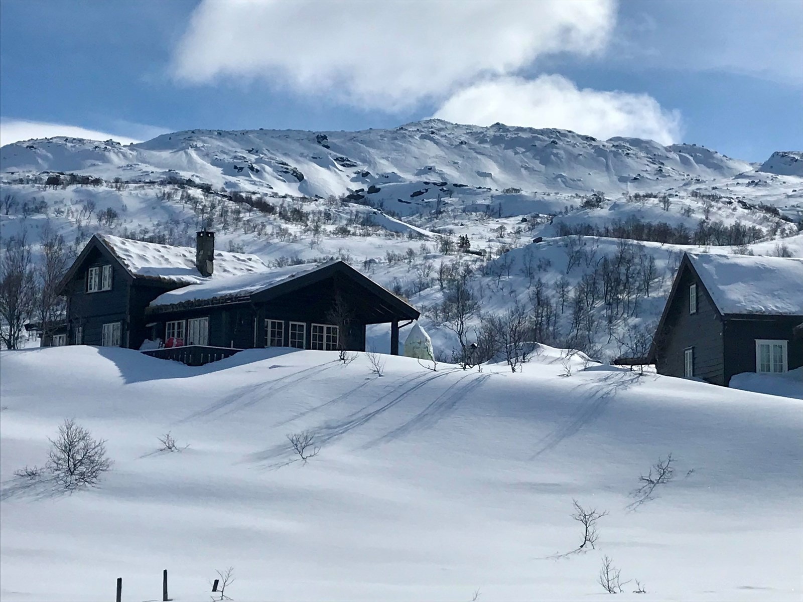 Vinter (privat bilde) Galleribilde