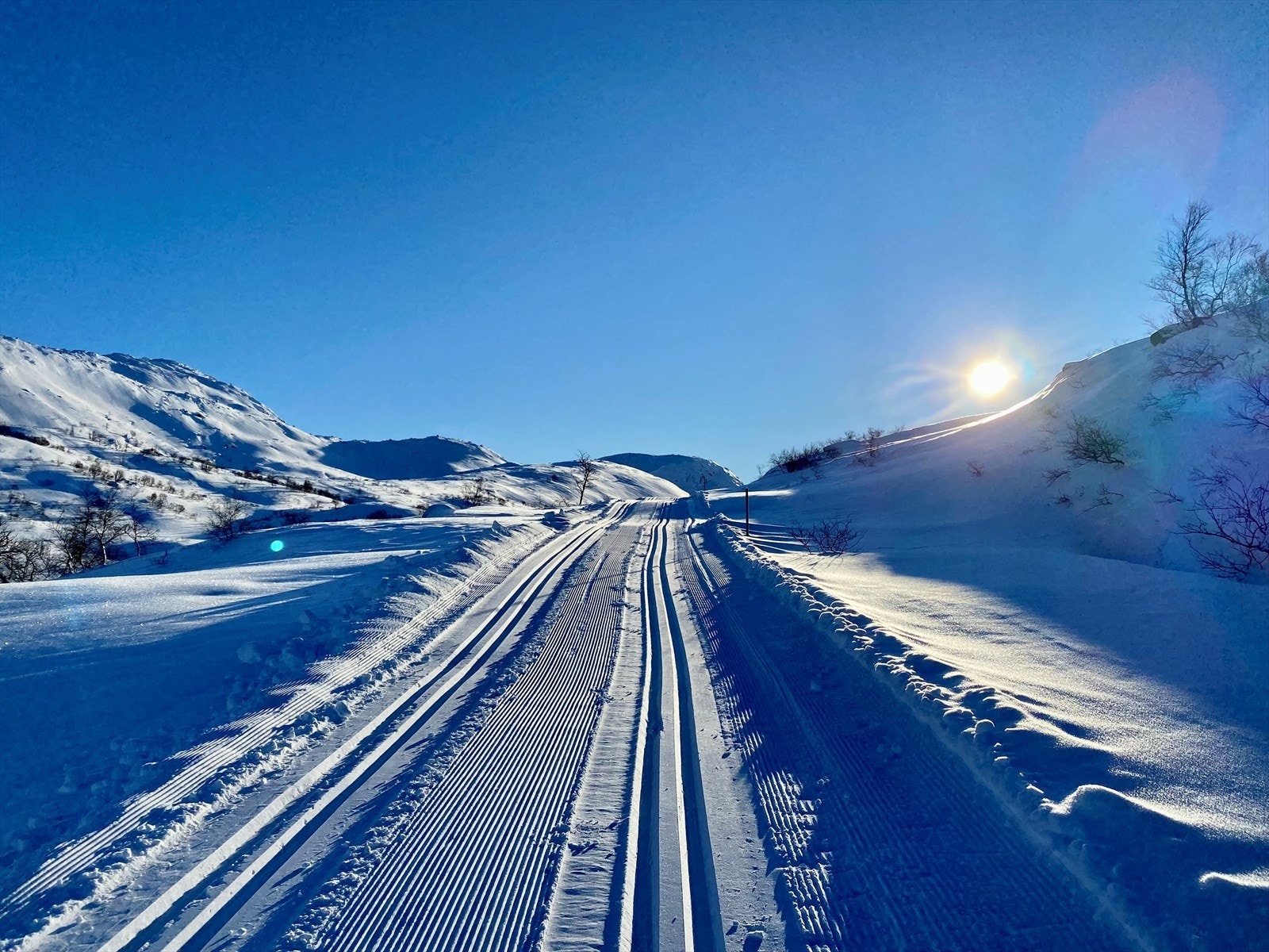 Vinter (privat bilde) Galleribilde