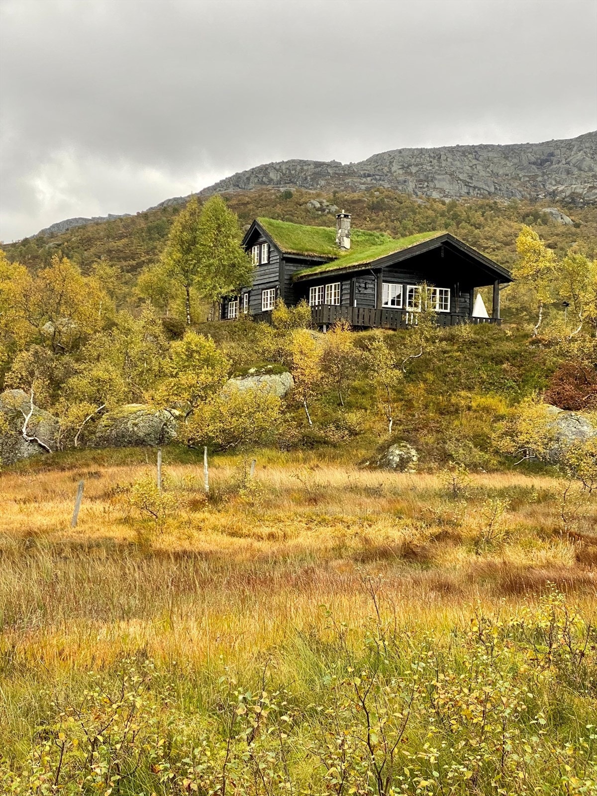 Høst (privat bilde) Galleribilde