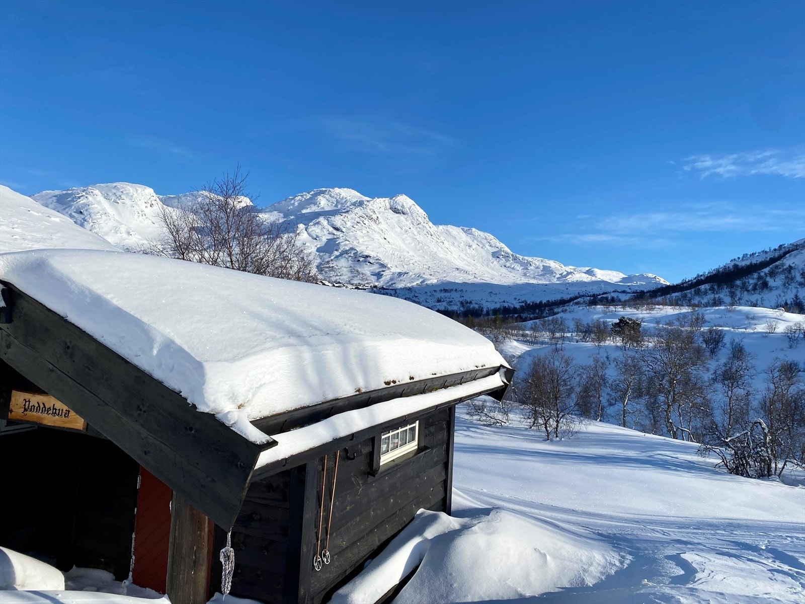 Vinter (privat bilde) Galleribilde