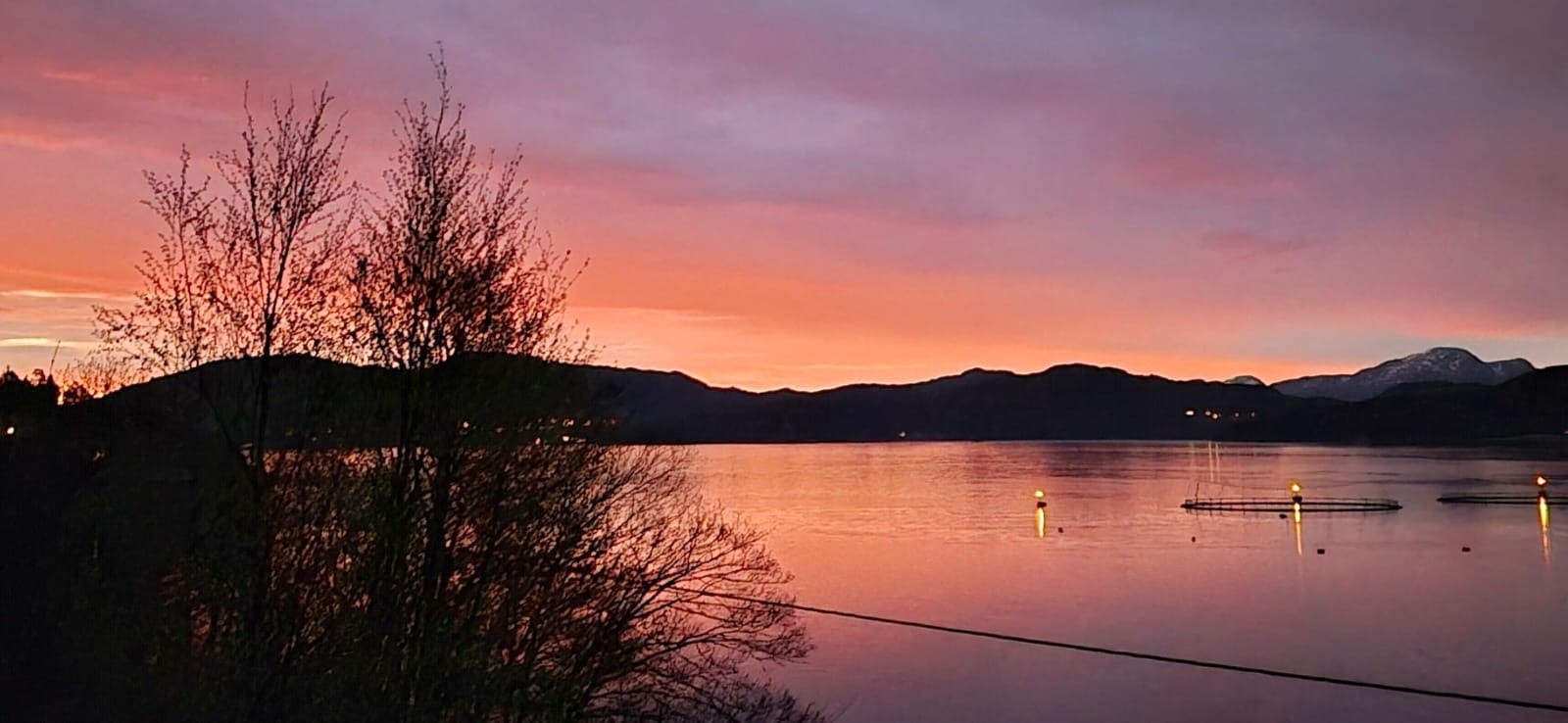 Solnedgang Galleribilde