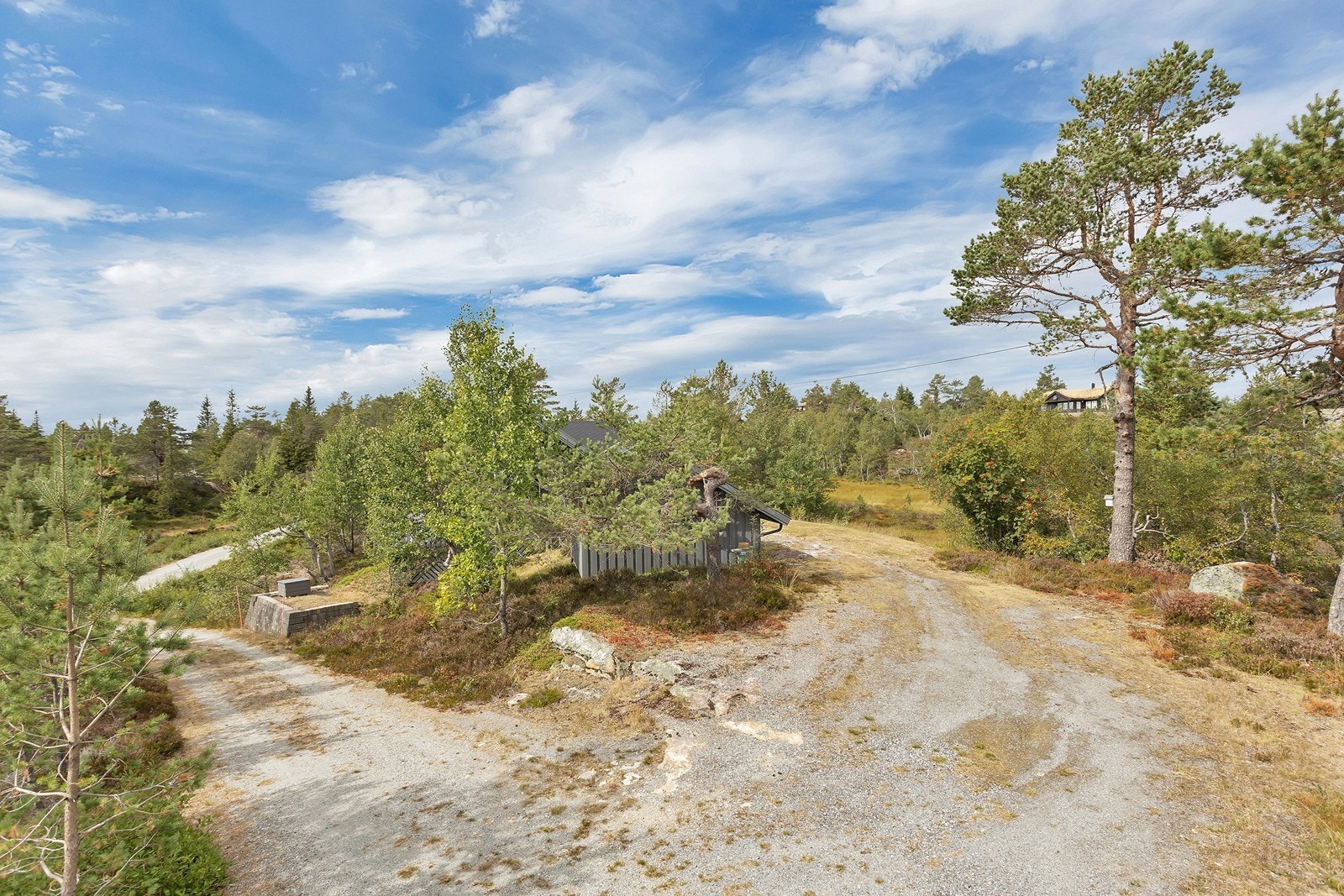 Det er bilvei helt frem og parkering like ved hytta Galleribilde